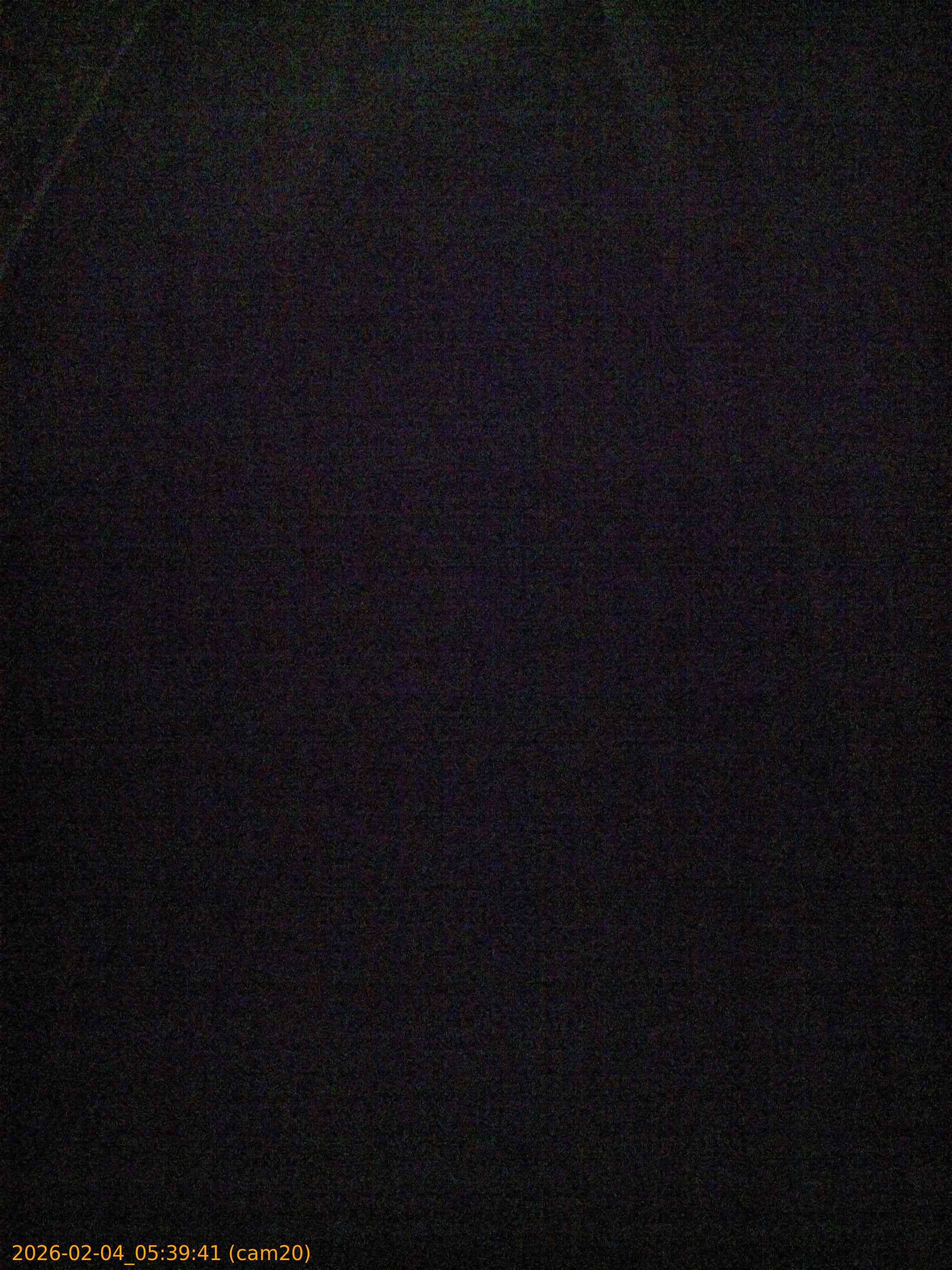 thumbnail_20260204053941