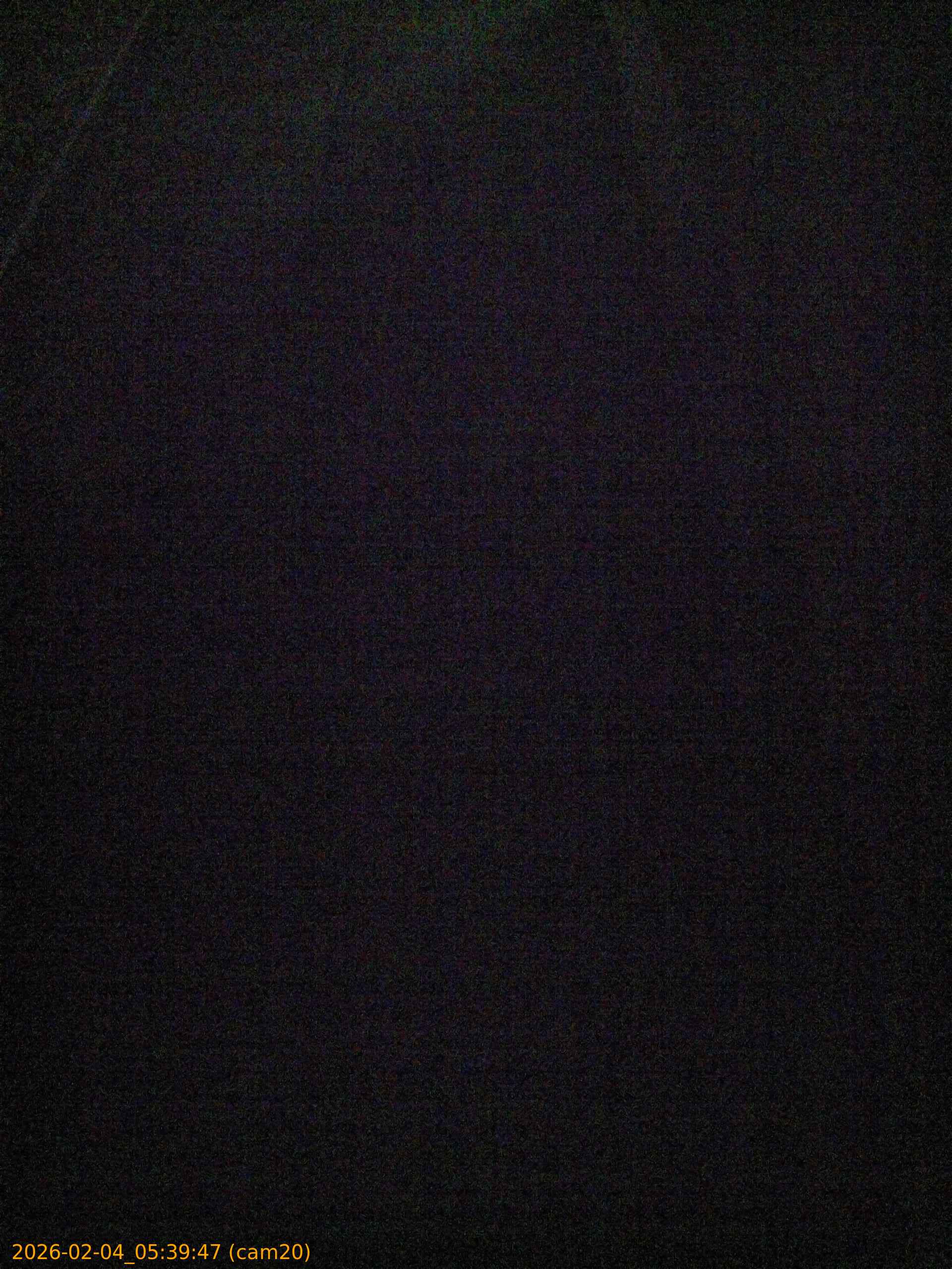 thumbnail_20260204053947