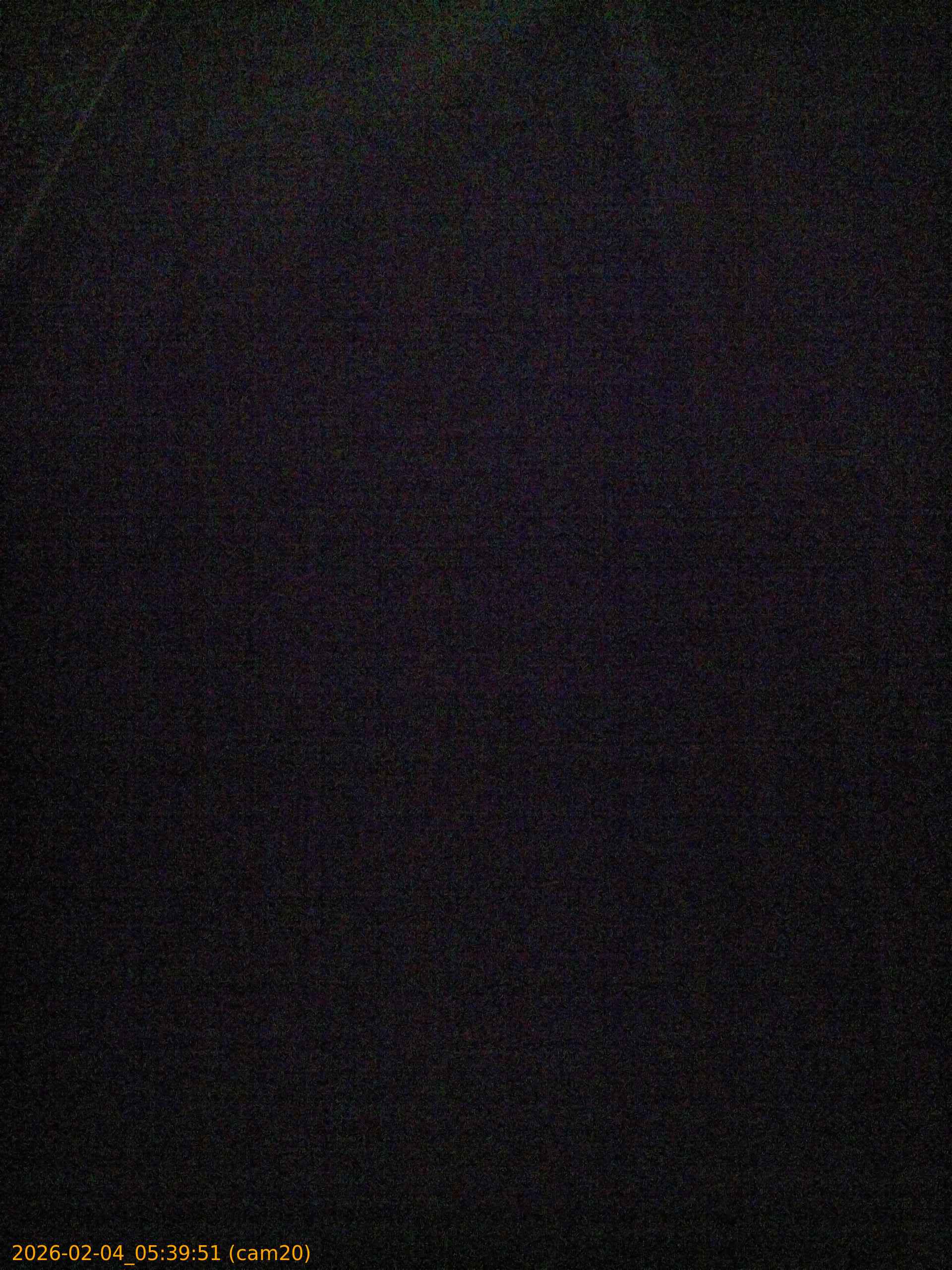 thumbnail_20260204053951