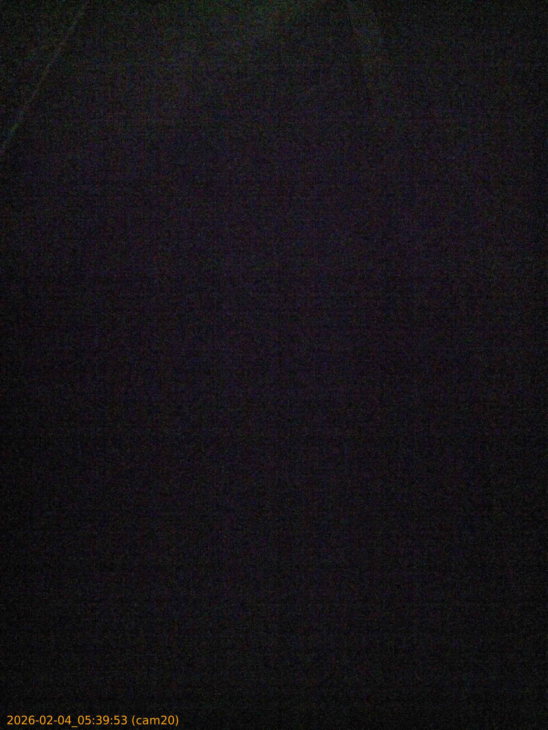 thumbnail_20260204053953