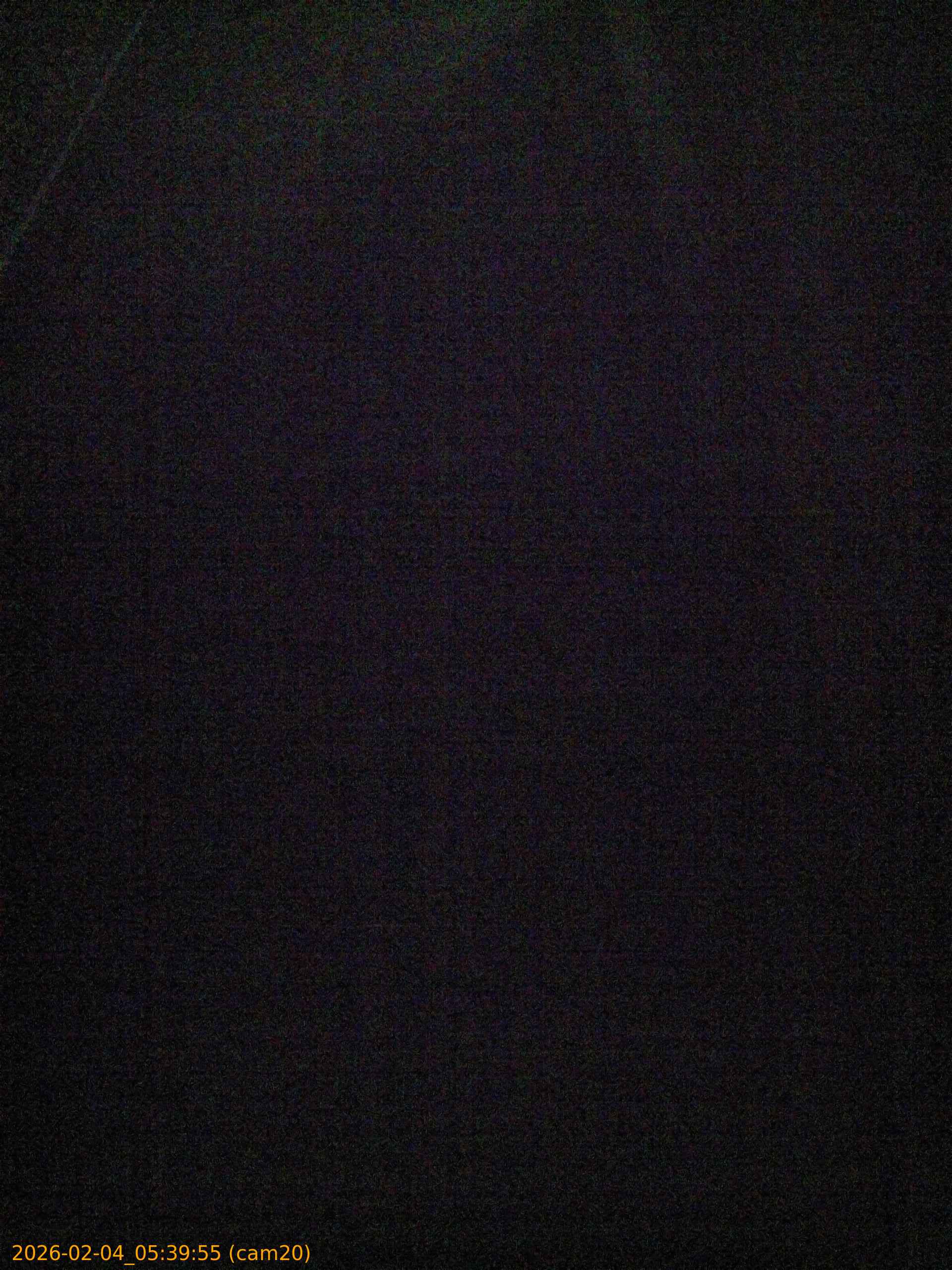 thumbnail_20260204053955