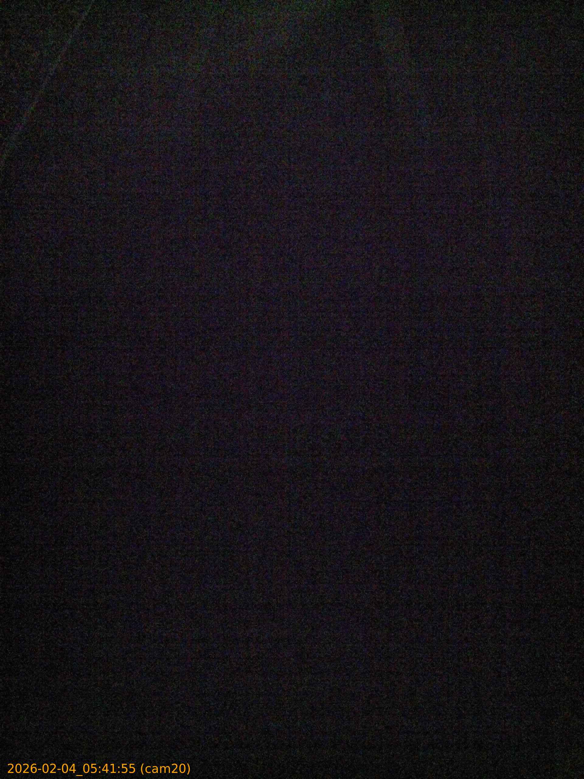 thumbnail_20260204054155