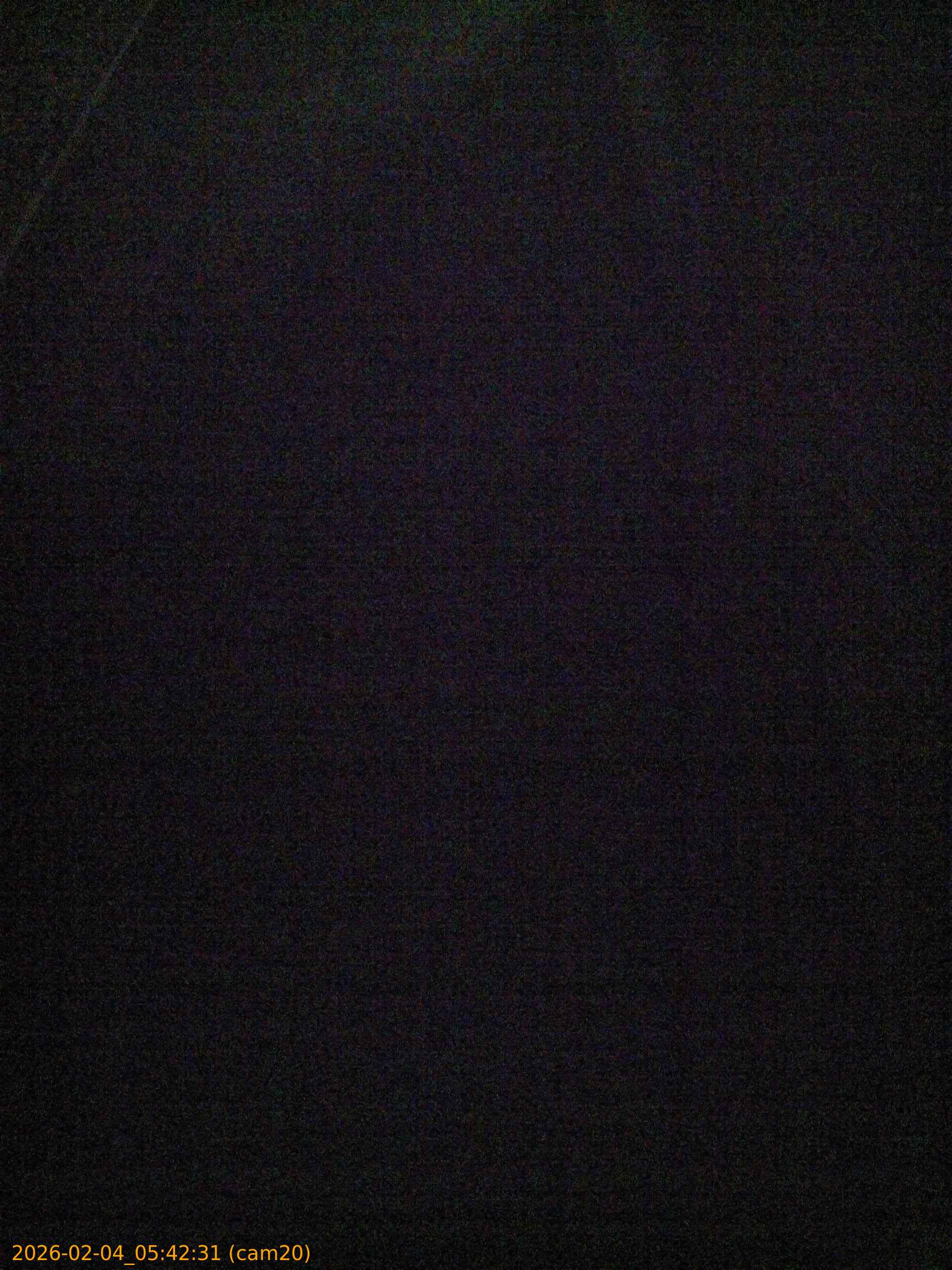 thumbnail_20260204054231