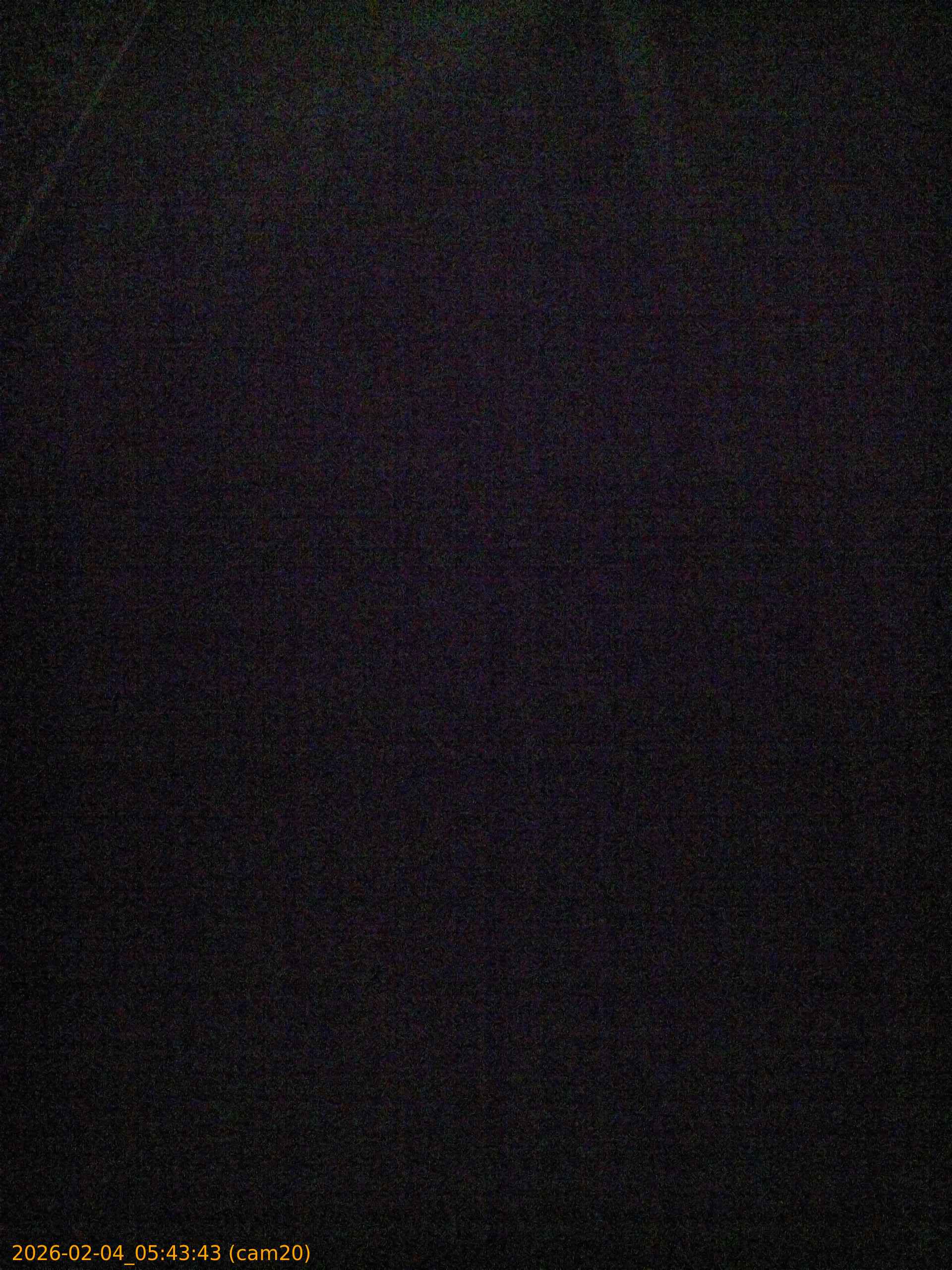 thumbnail_20260204054343