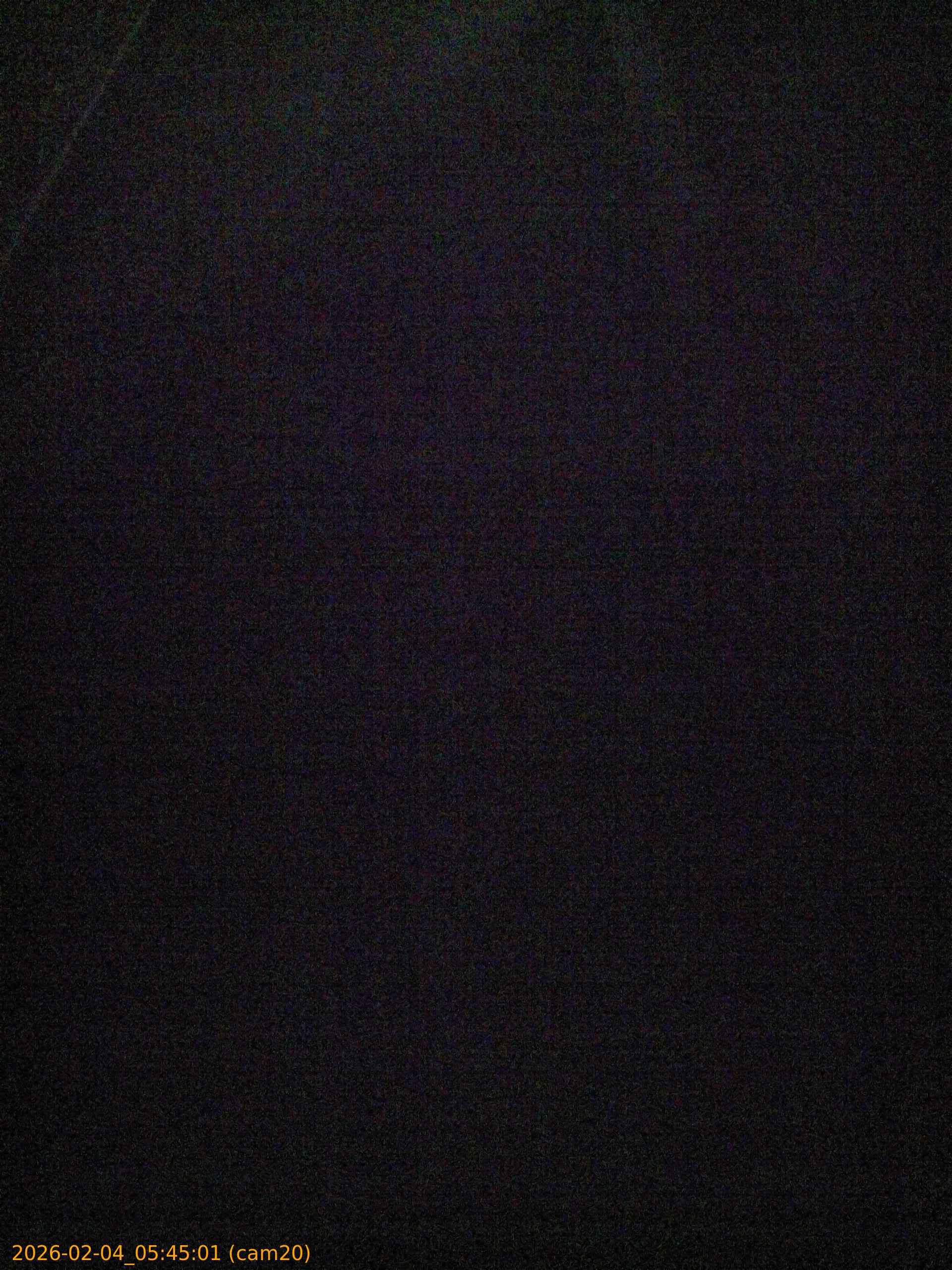 thumbnail_20260204054501