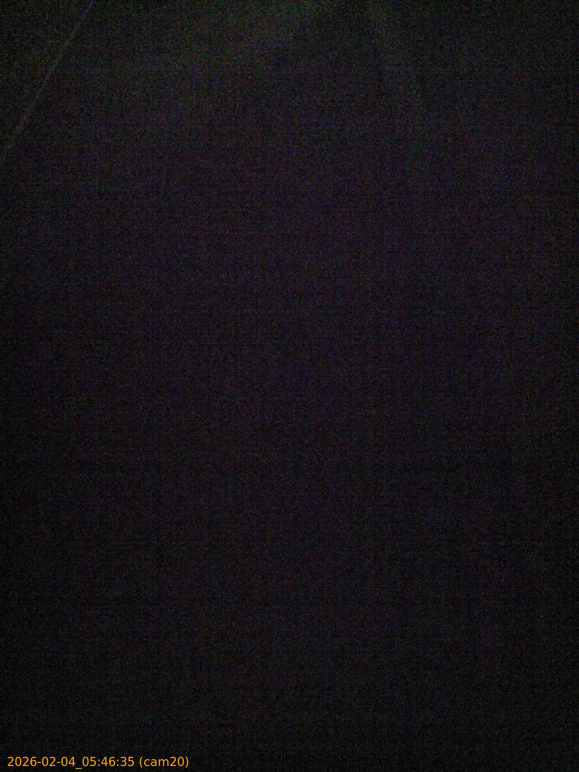 thumbnail_20260204054635