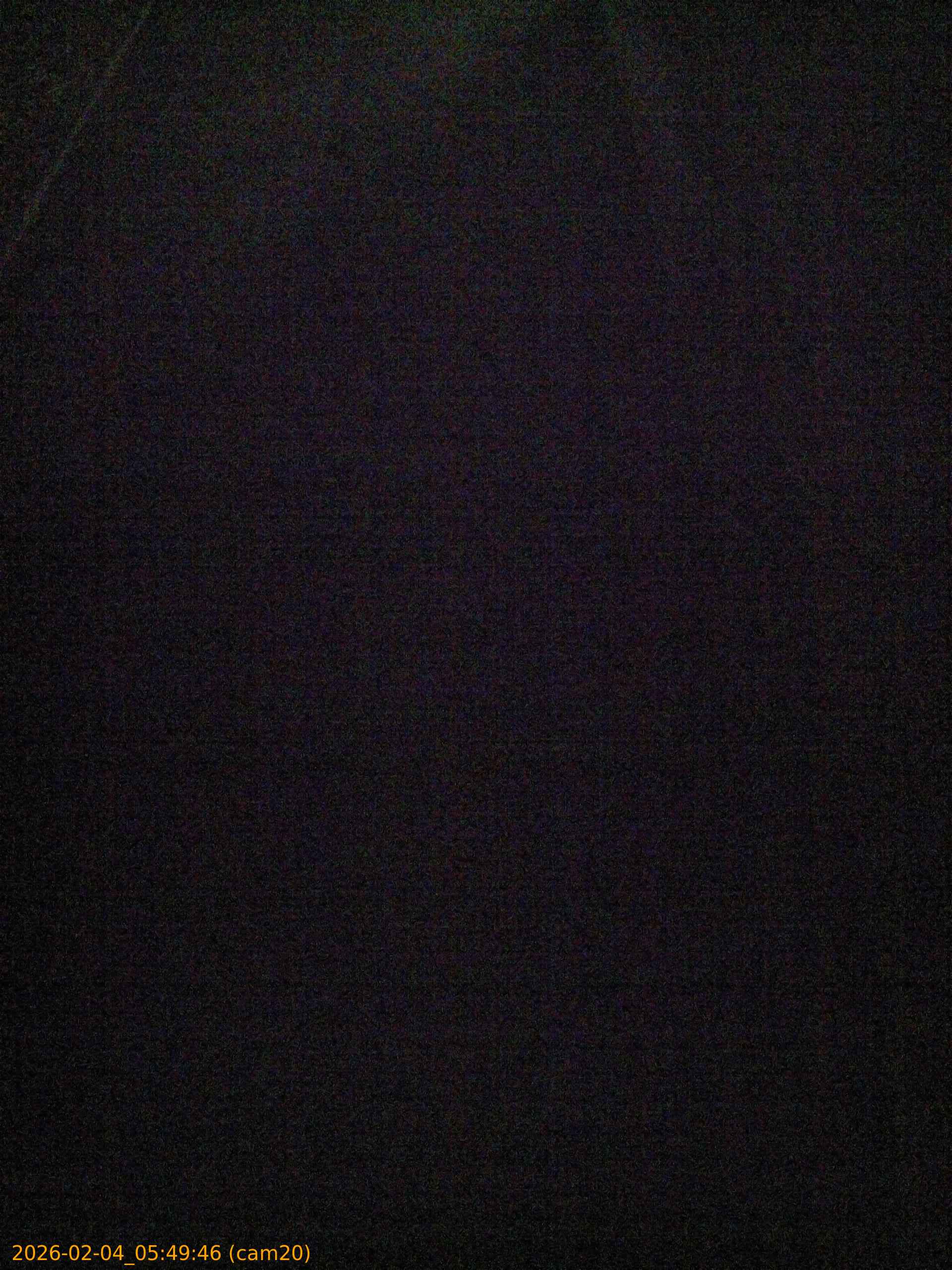 thumbnail_20260204054946