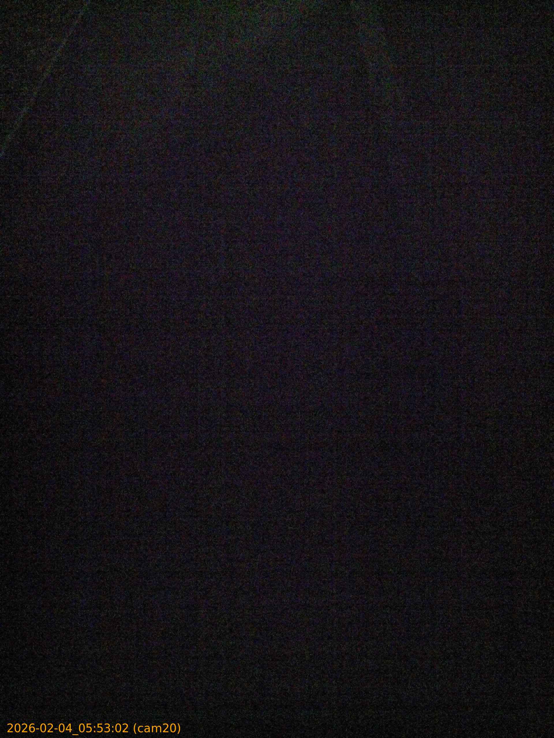 thumbnail_20260204055302