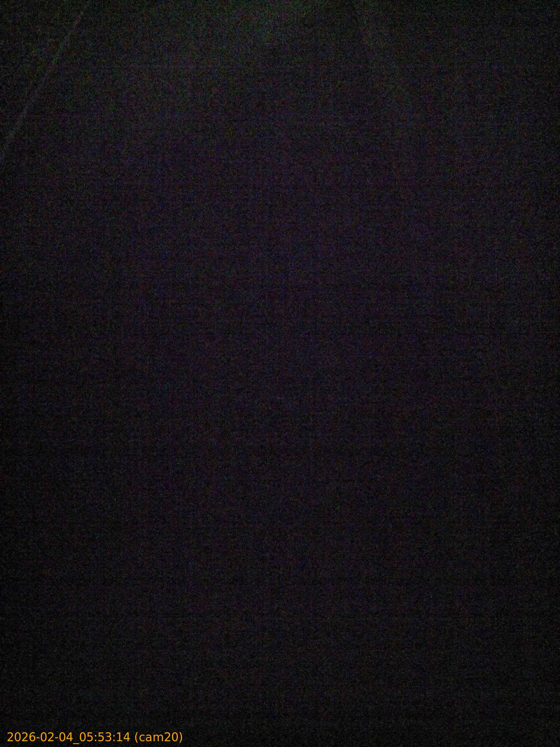 thumbnail_20260204055314