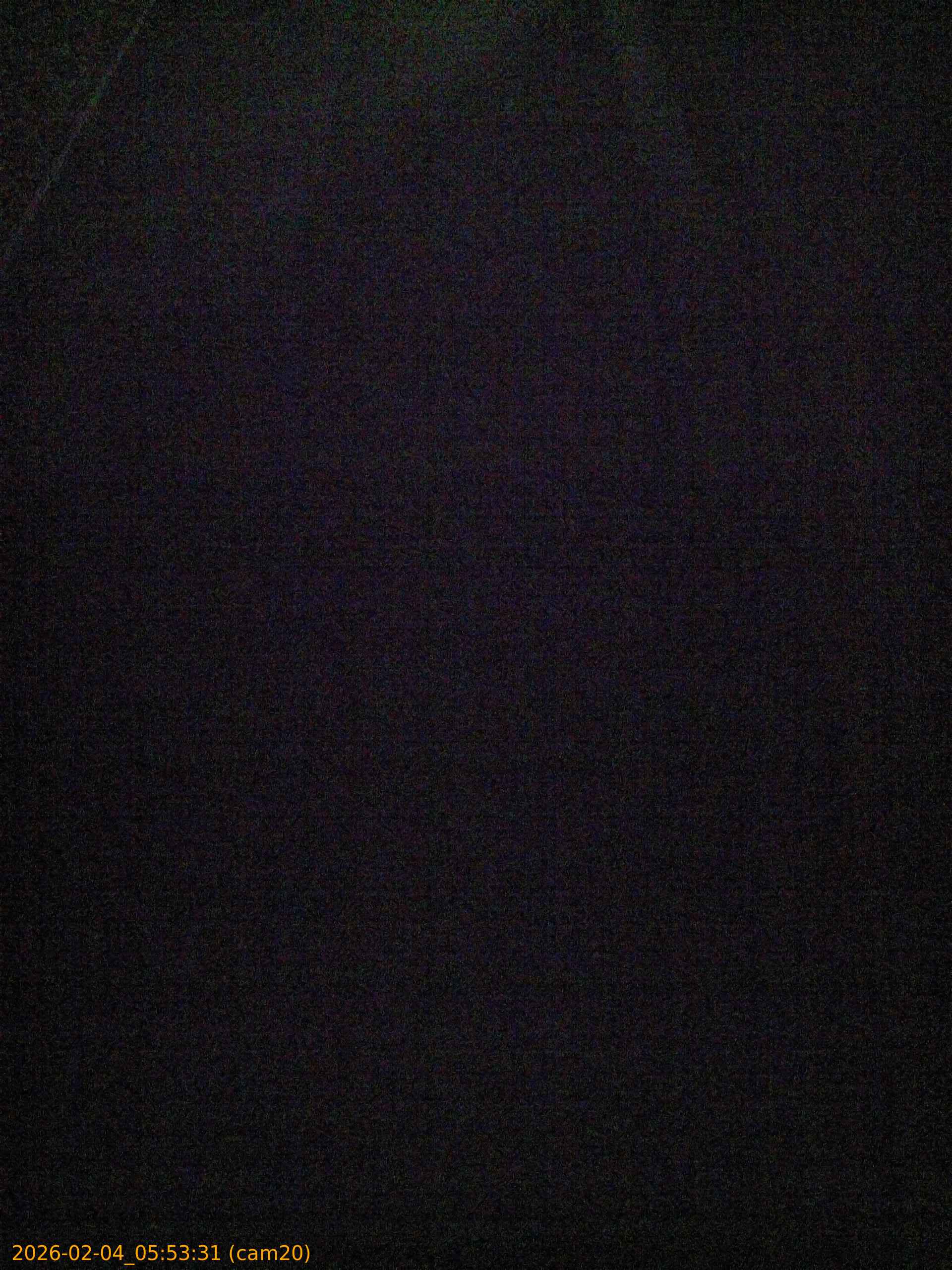 thumbnail_20260204055331