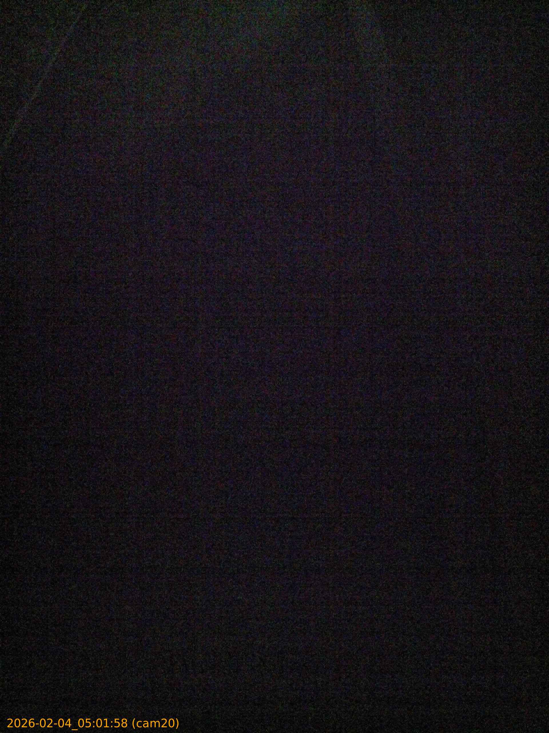 thumbnail_202602040501