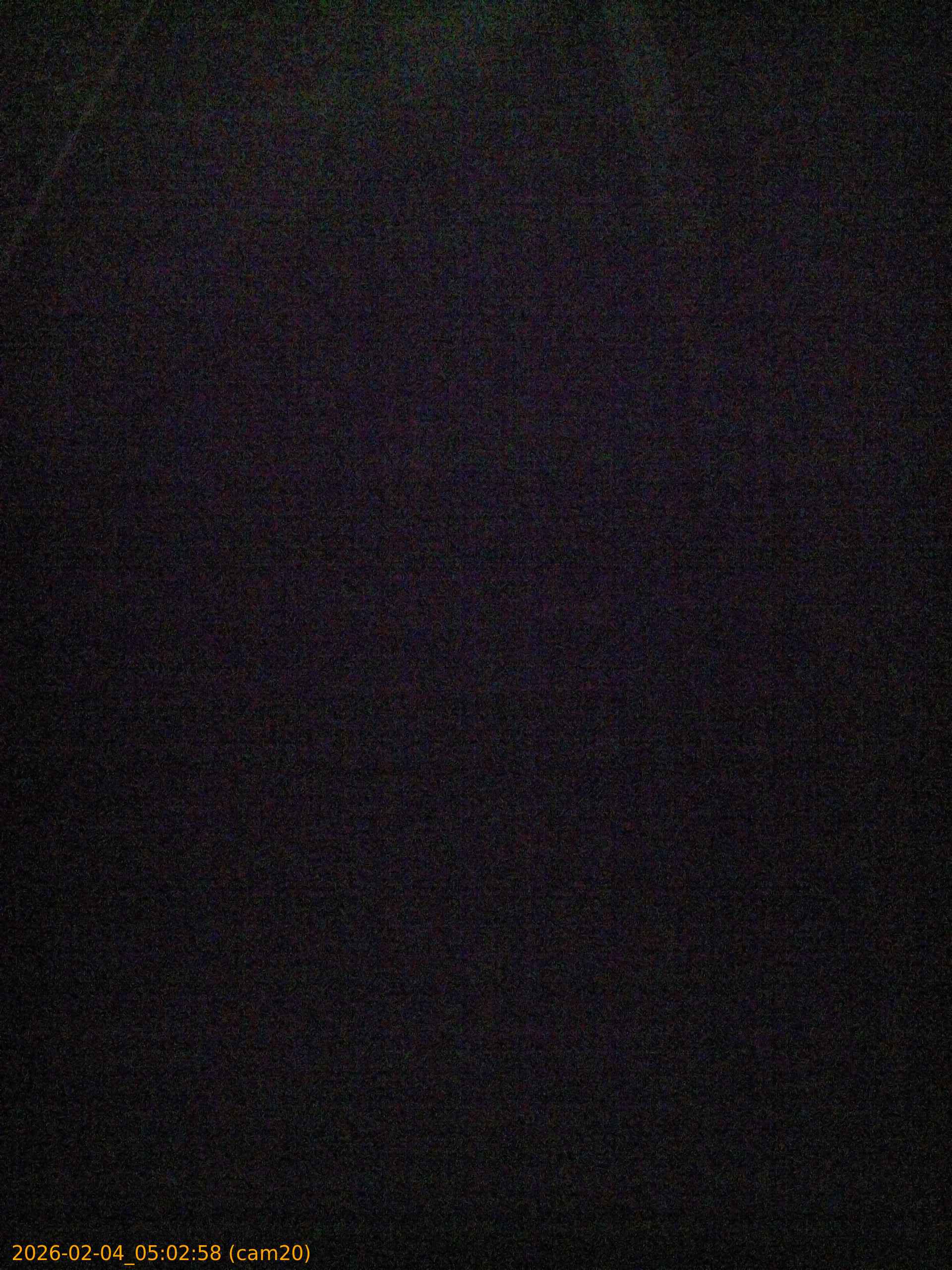 thumbnail_202602040502