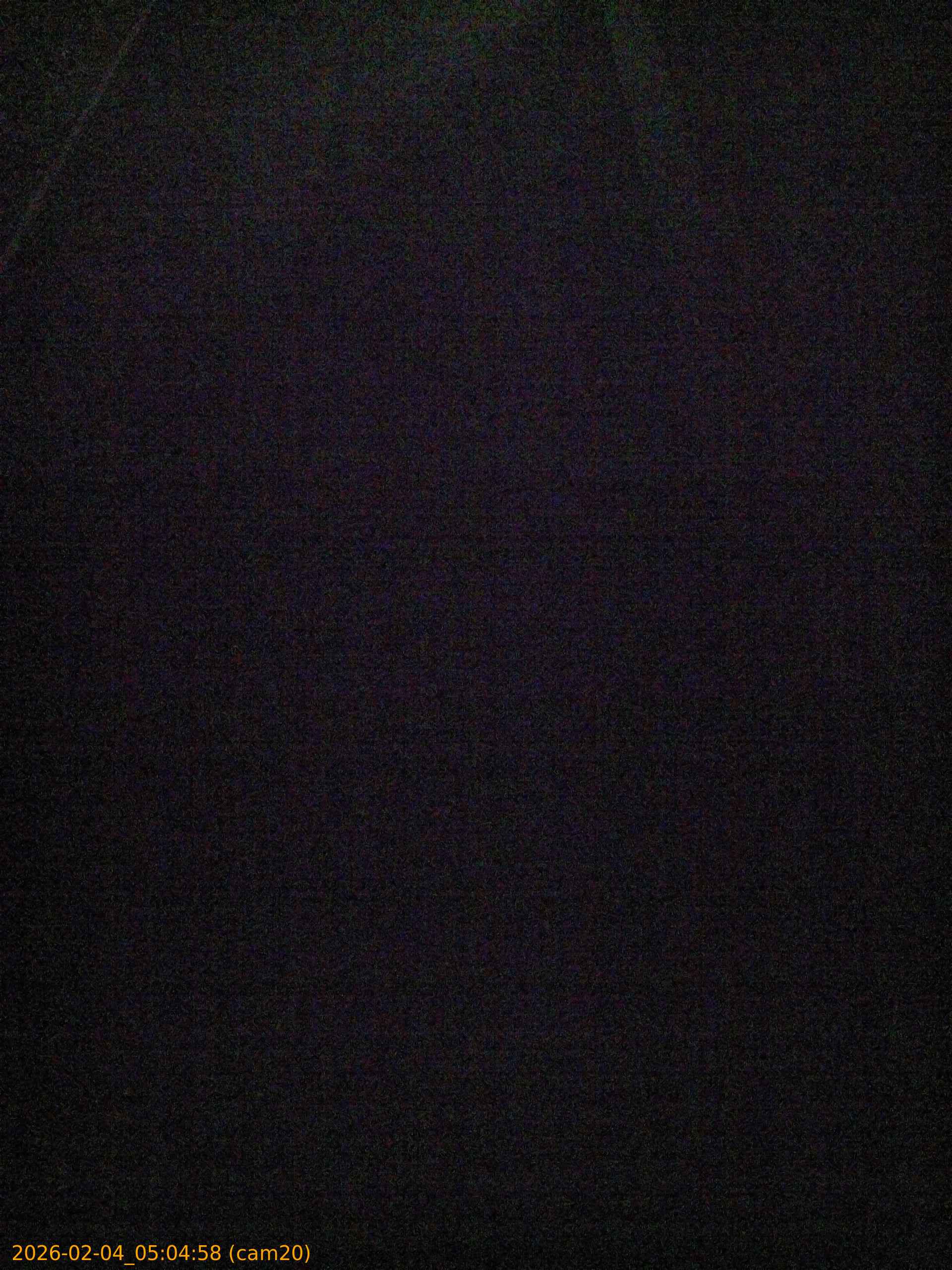 thumbnail_202602040504