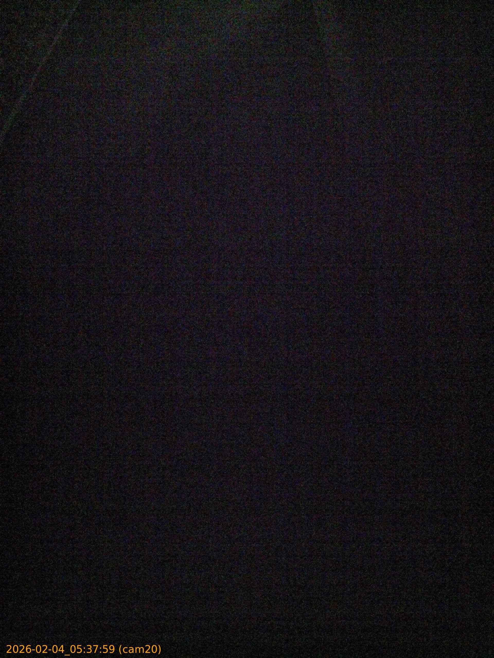 thumbnail_202602040537