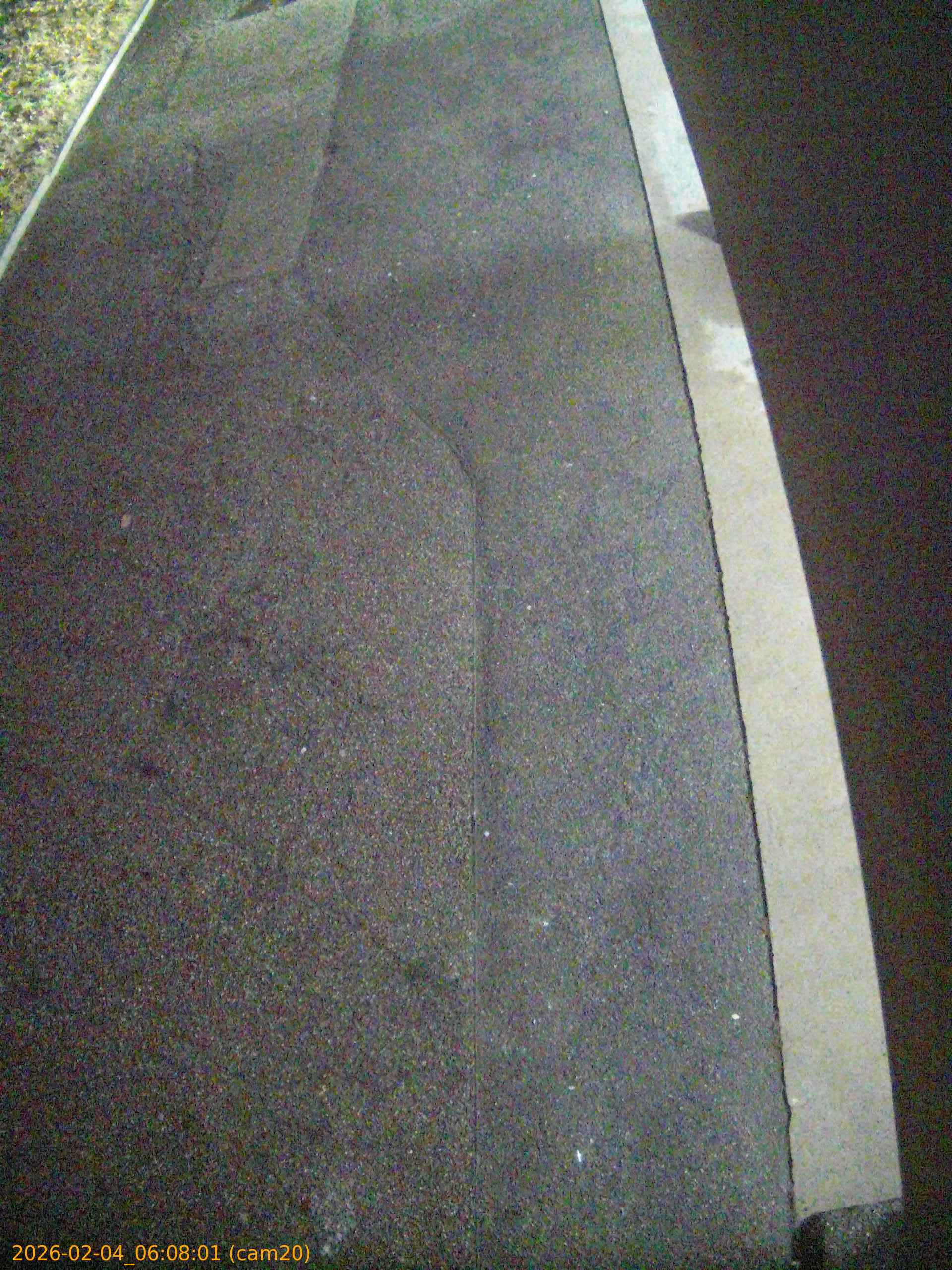 thumbnail_20260204060801