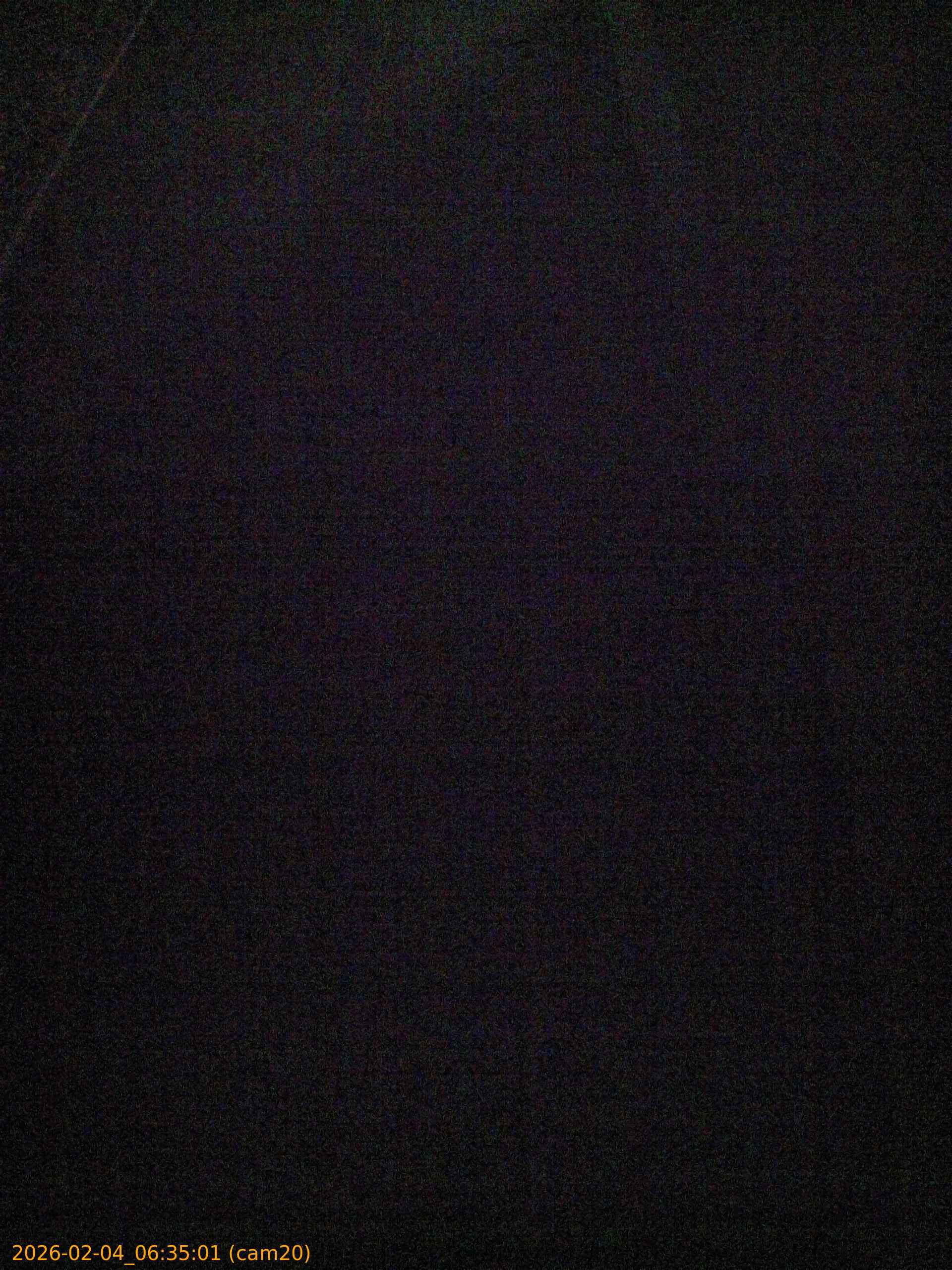 thumbnail_20260204063501