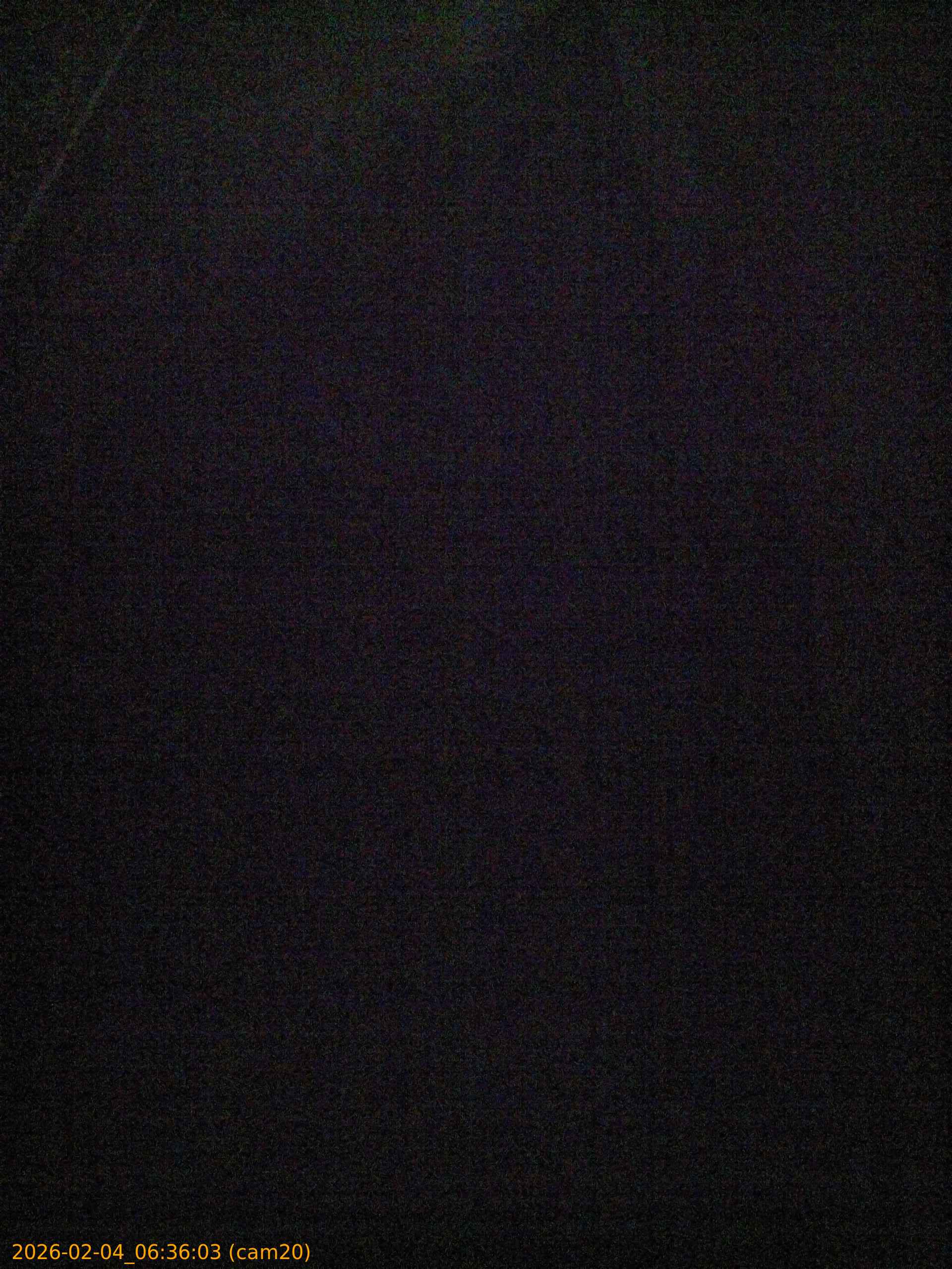 thumbnail_20260204063603