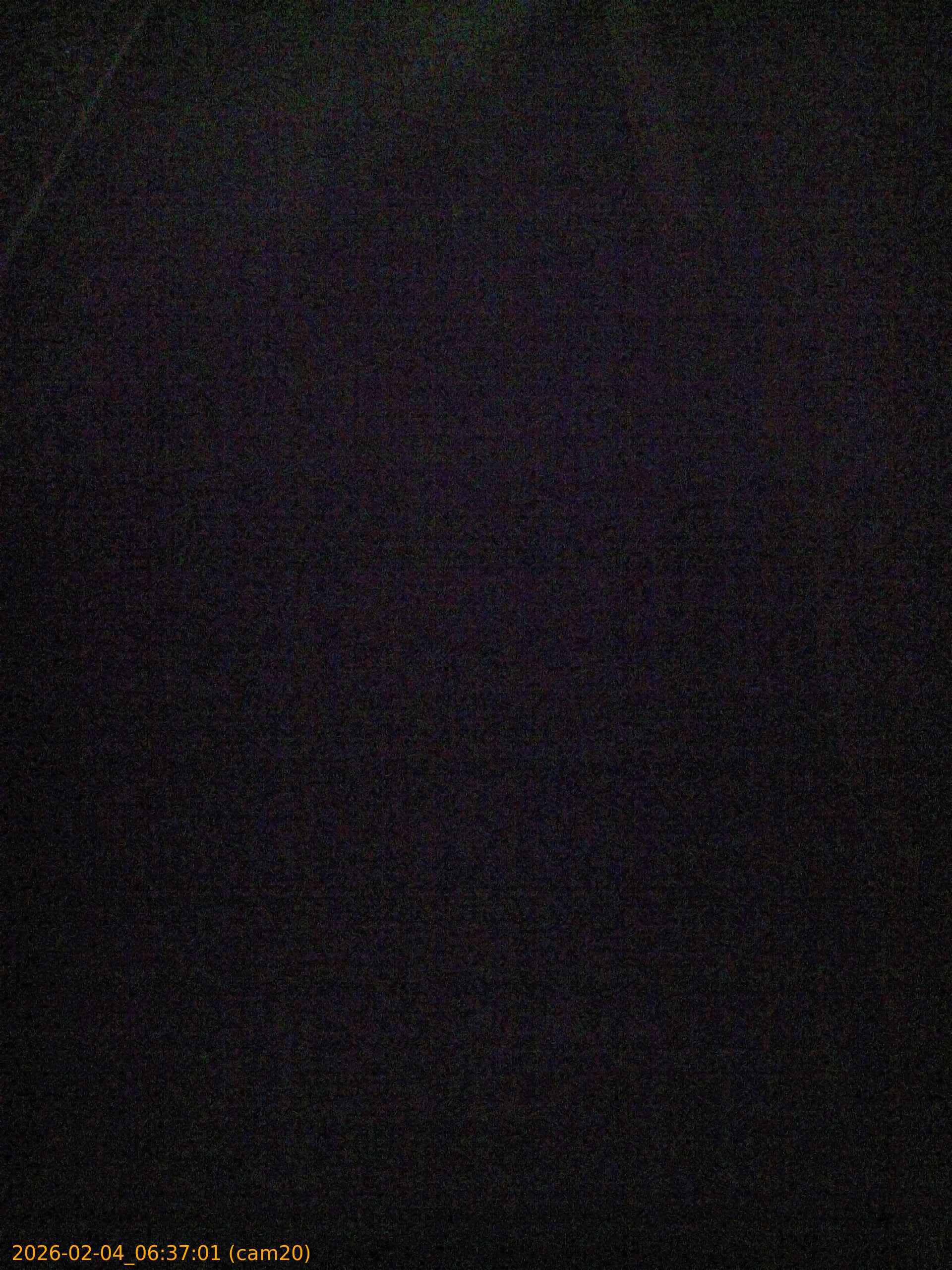 thumbnail_20260204063701