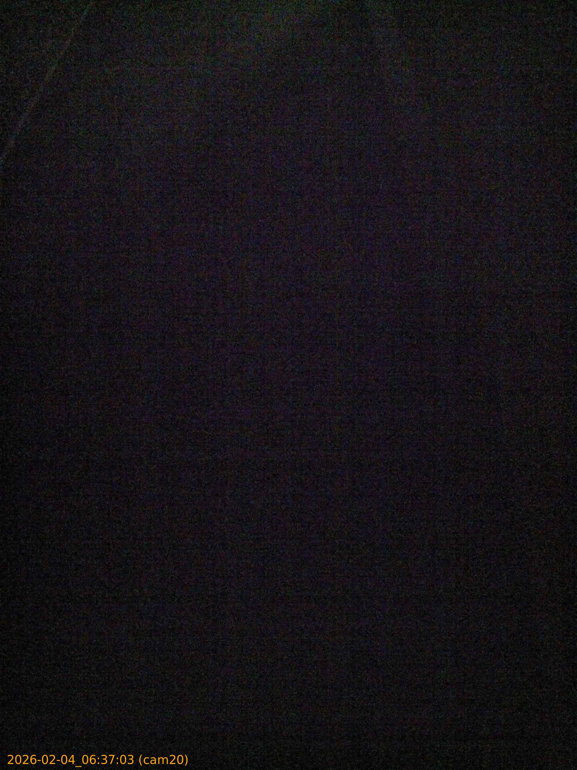 thumbnail_20260204063703