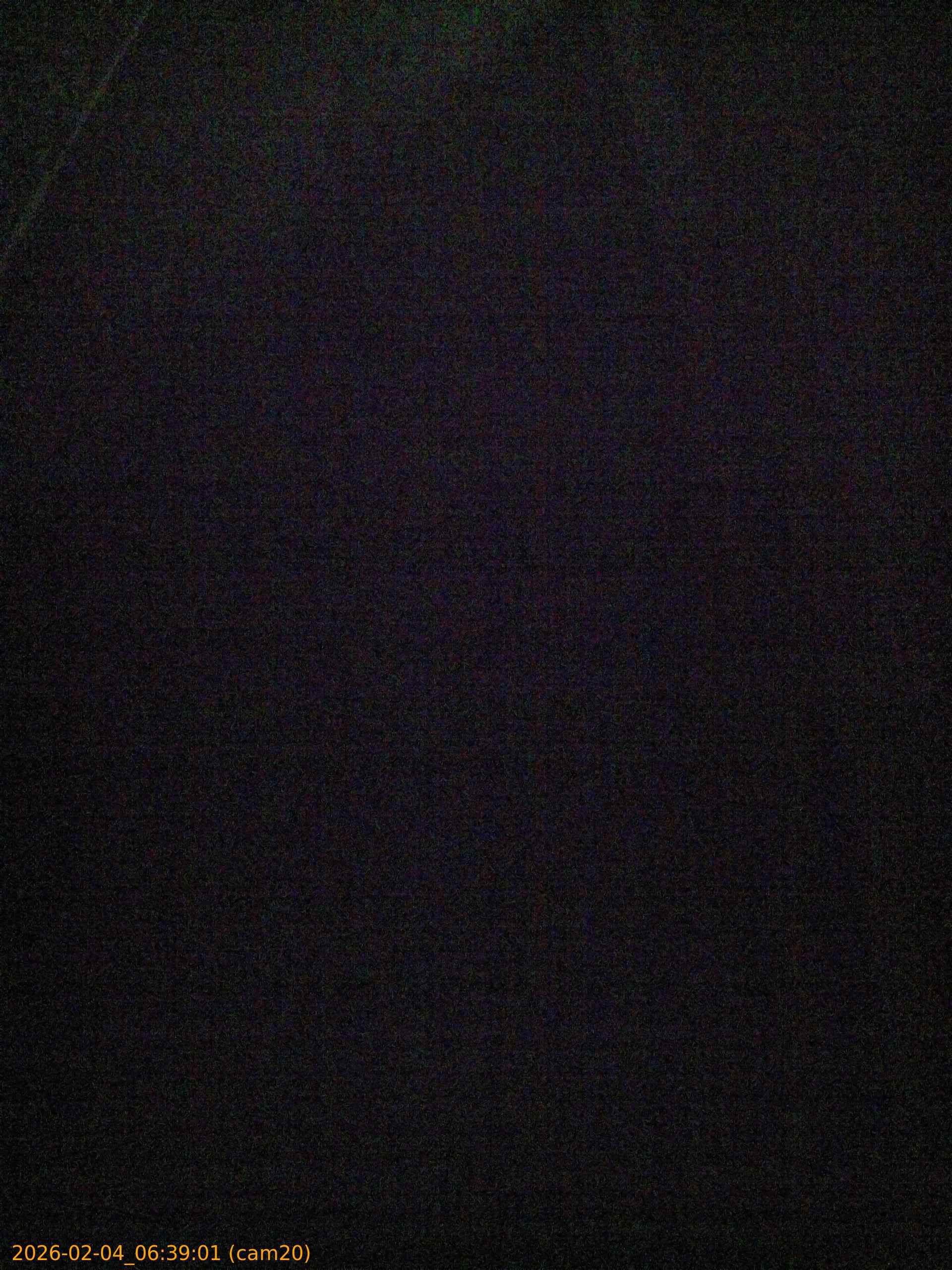 thumbnail_20260204063901