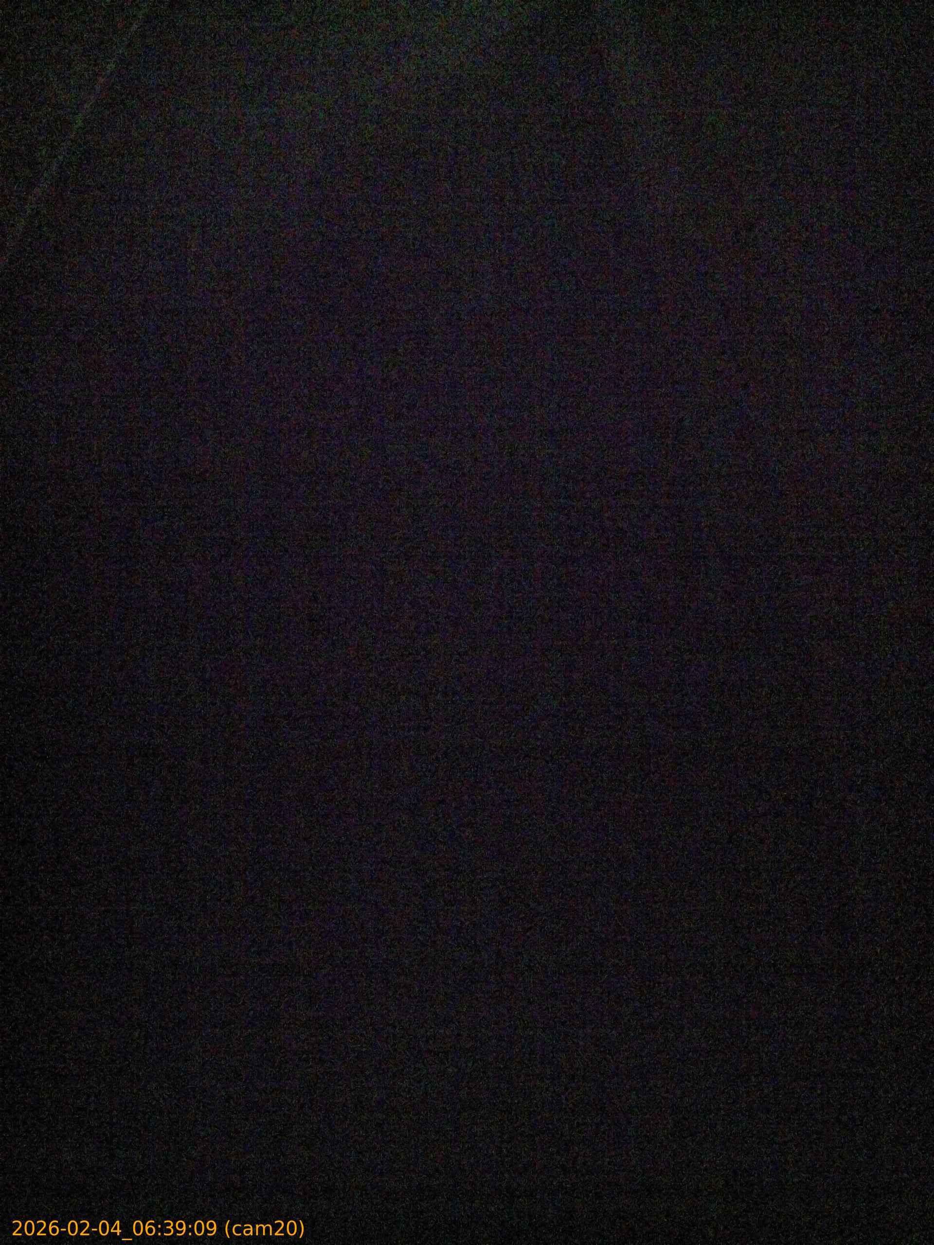 thumbnail_20260204063909