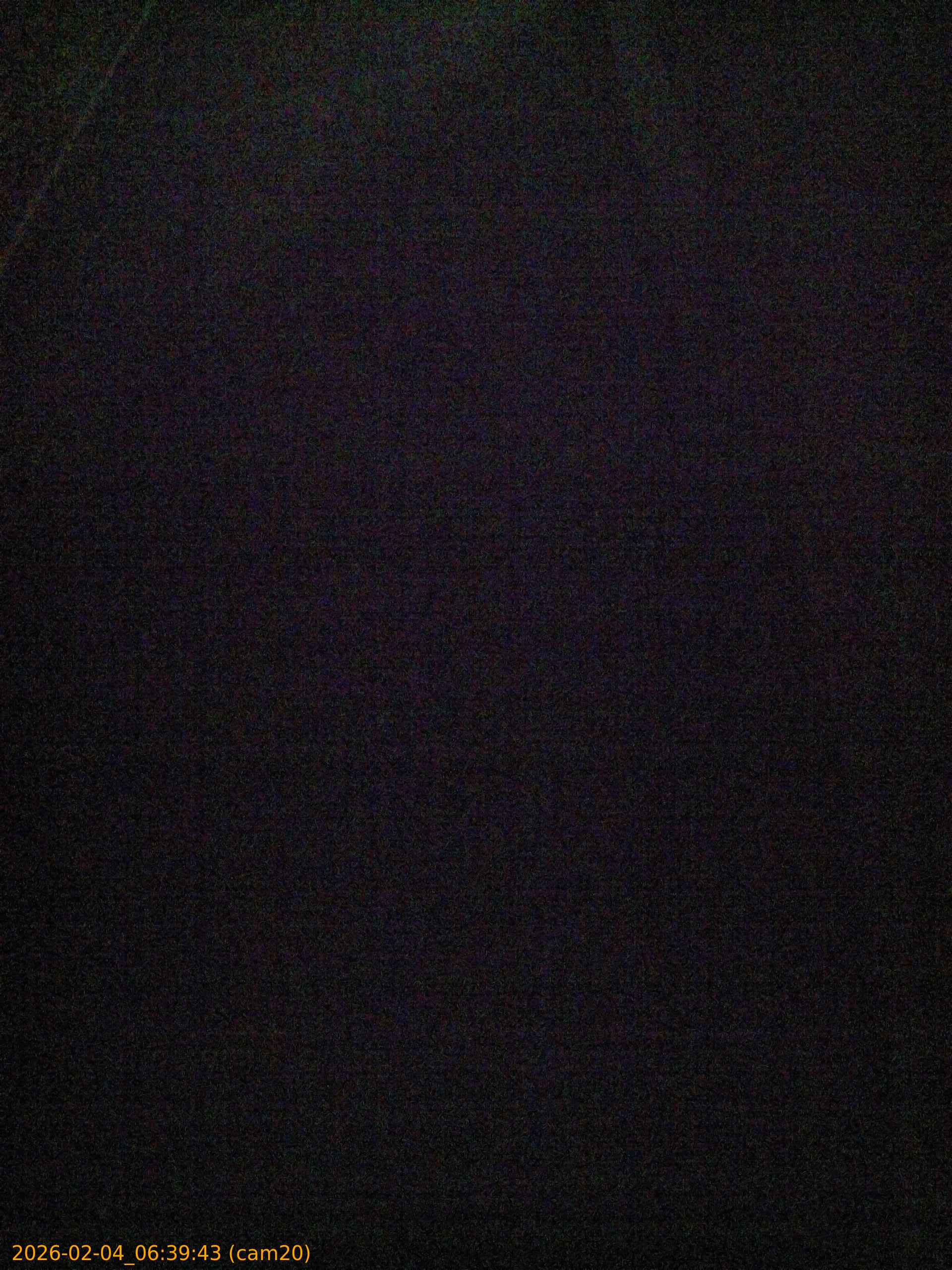 thumbnail_20260204063943