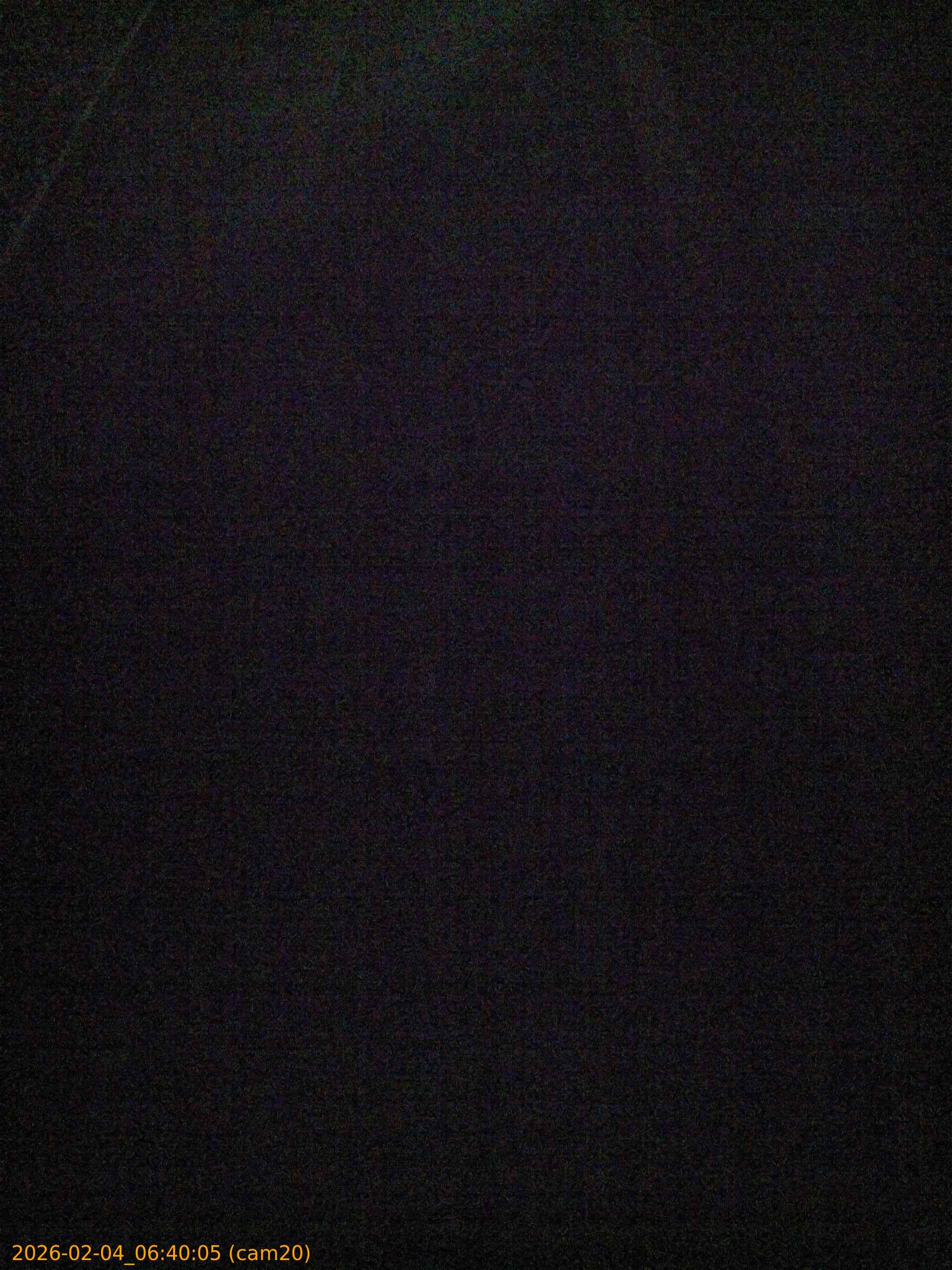 thumbnail_20260204064005