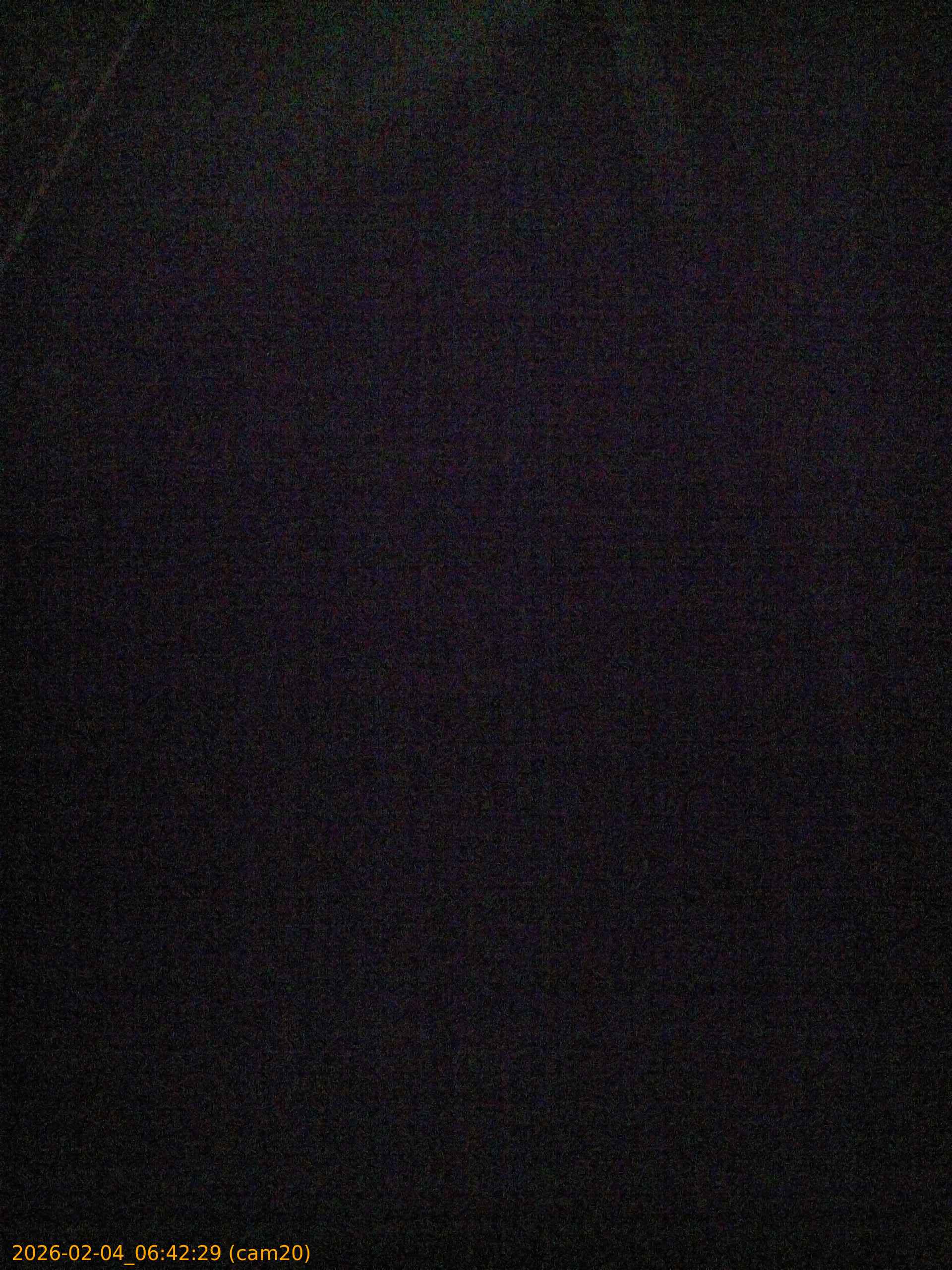 thumbnail_20260204064229