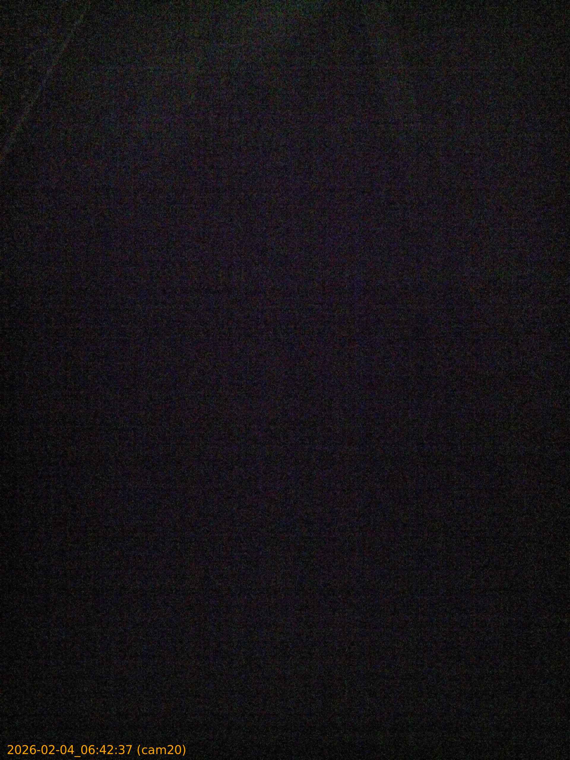 thumbnail_20260204064237