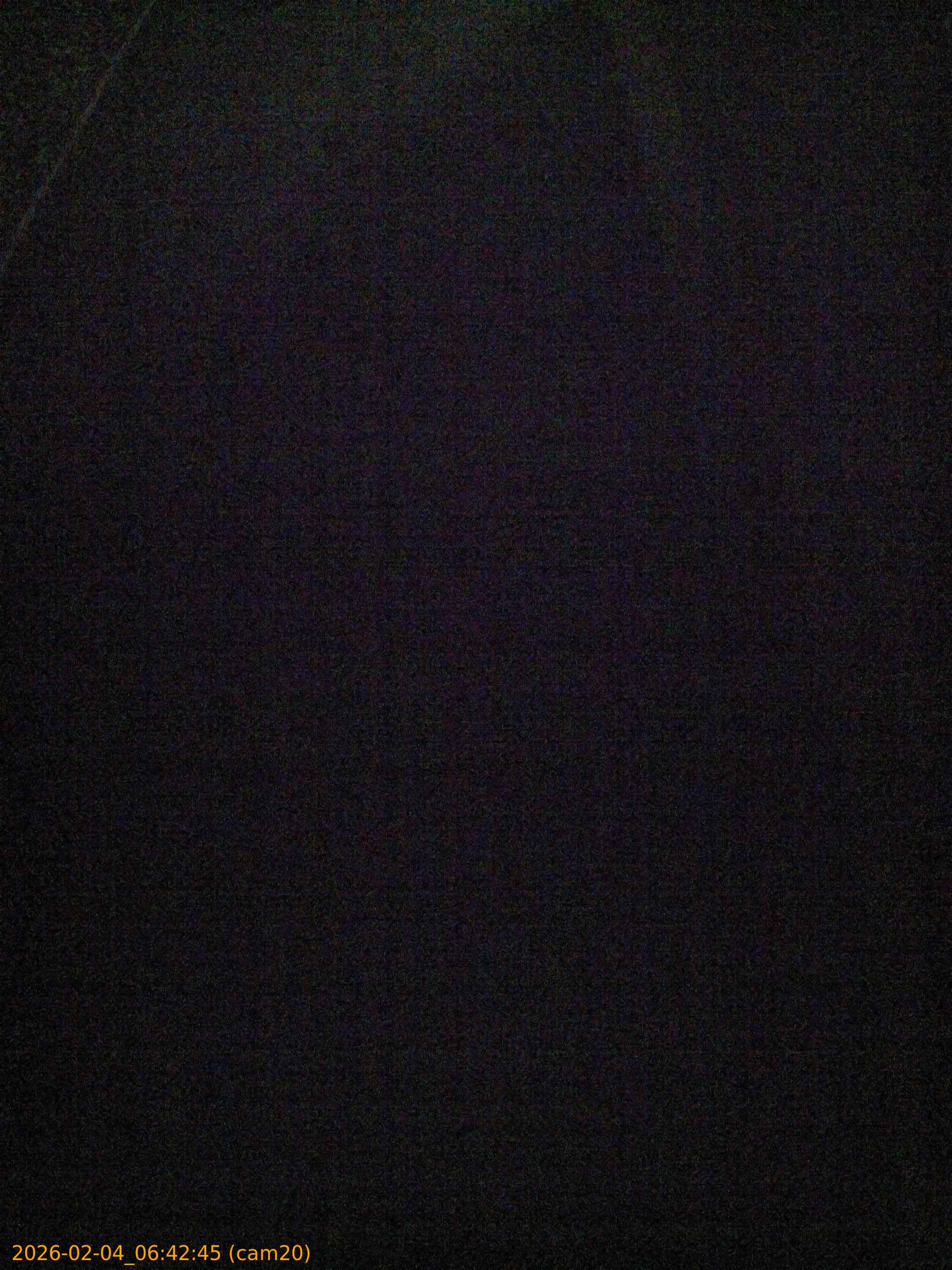 thumbnail_20260204064245