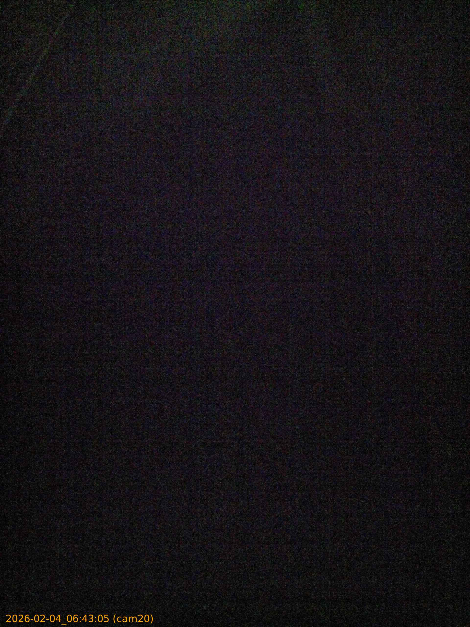 thumbnail_20260204064305