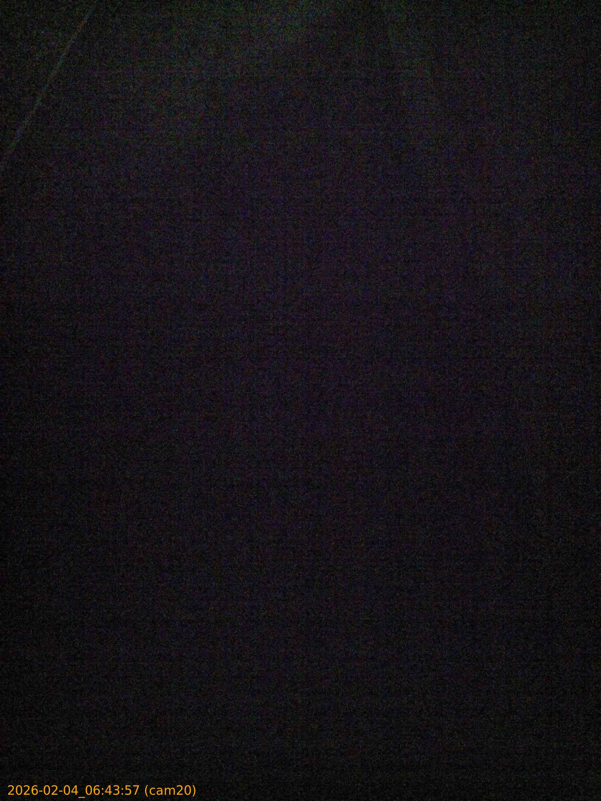 thumbnail_20260204064357