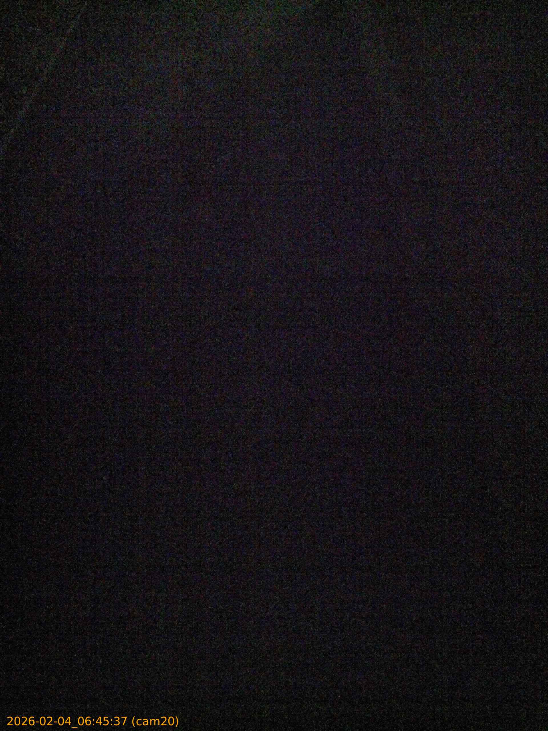 thumbnail_20260204064537