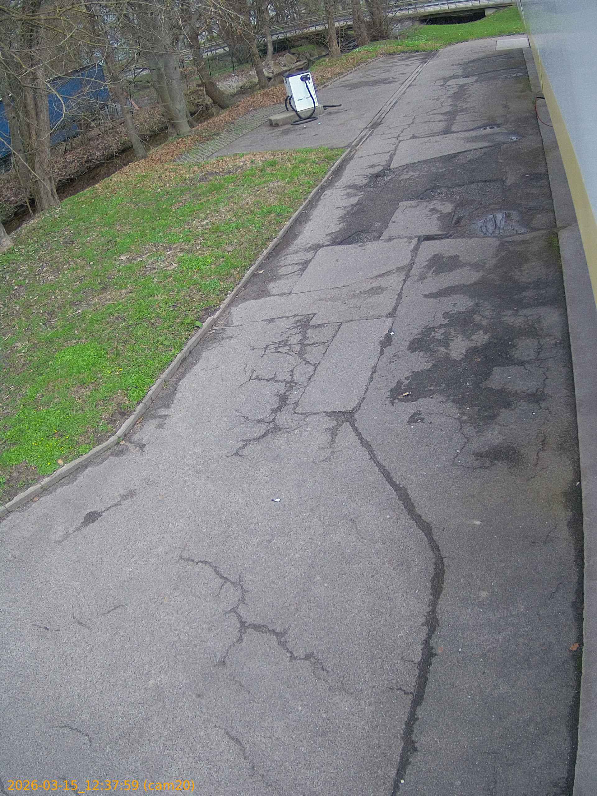 thumbnail_202603151237