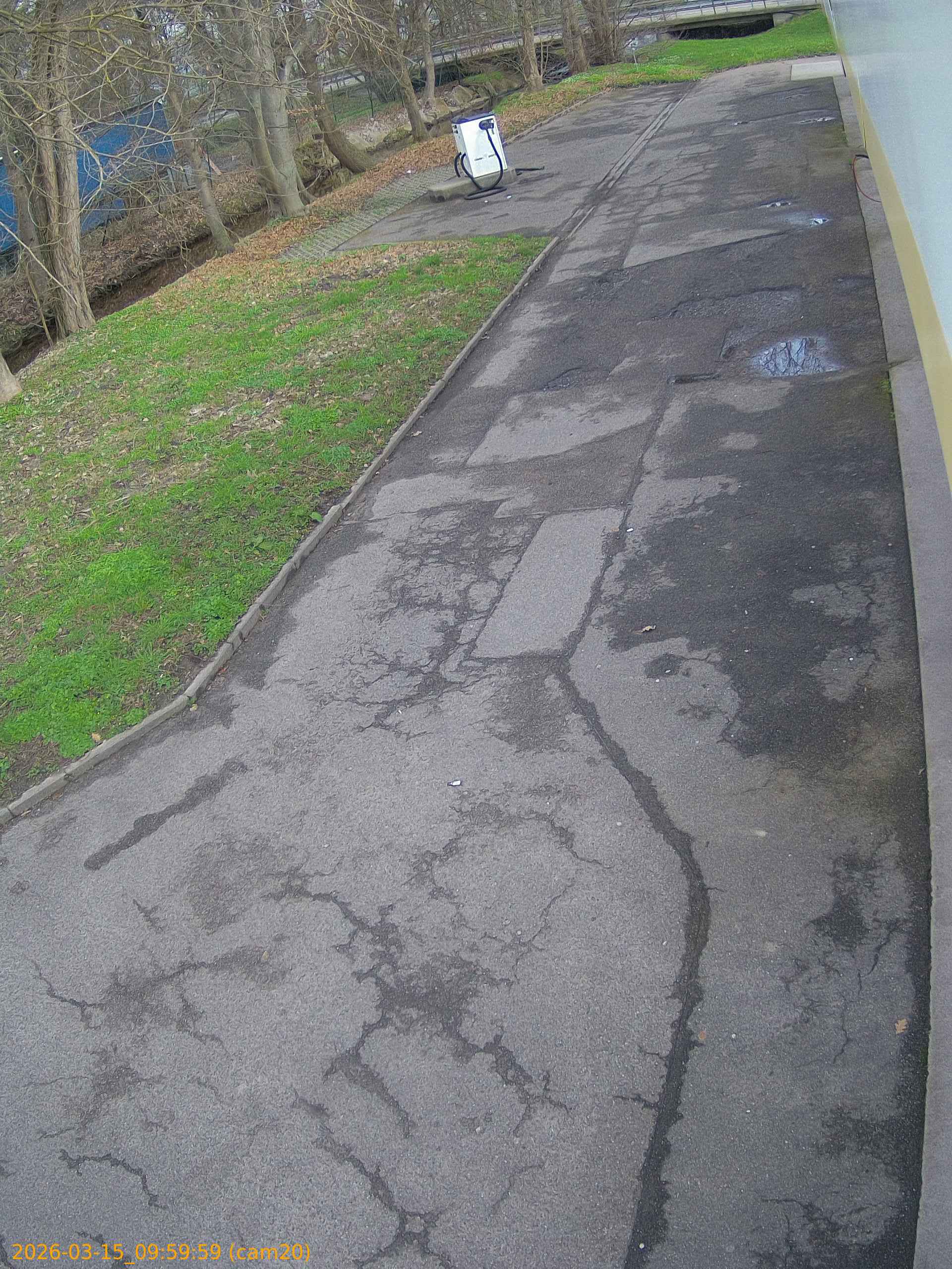 thumbnail_2026031509