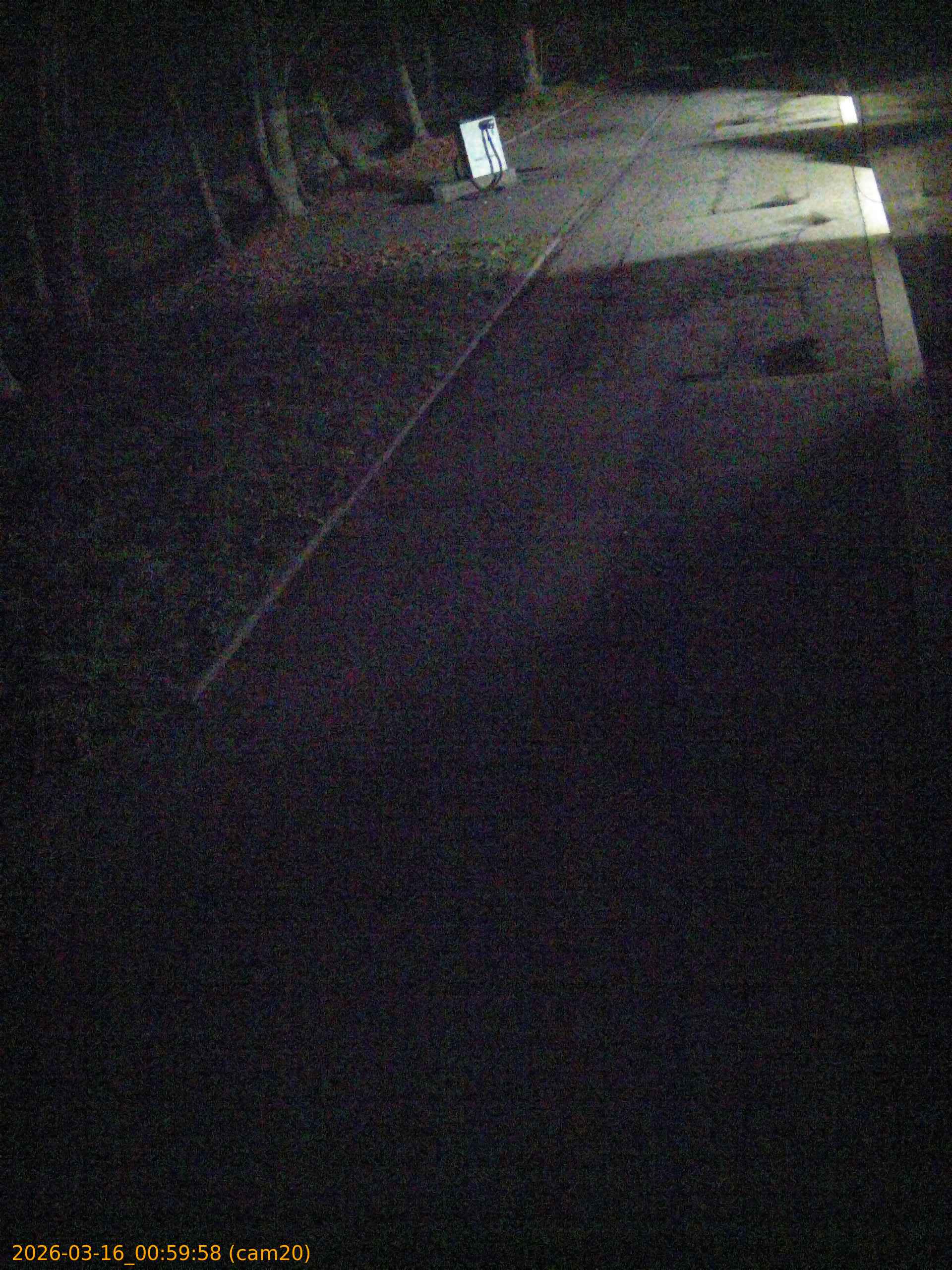 thumbnail_2026031600