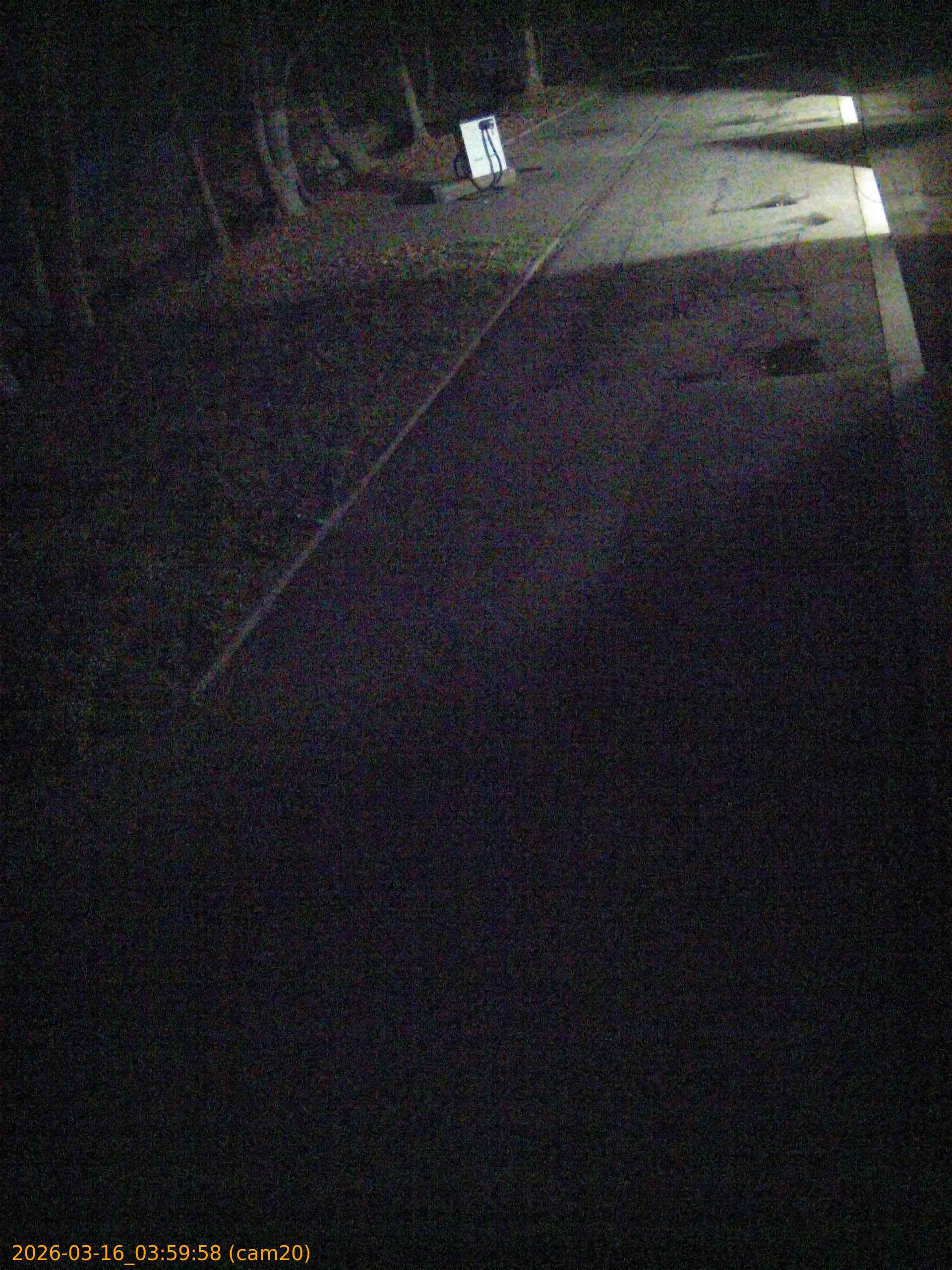 thumbnail_2026031603