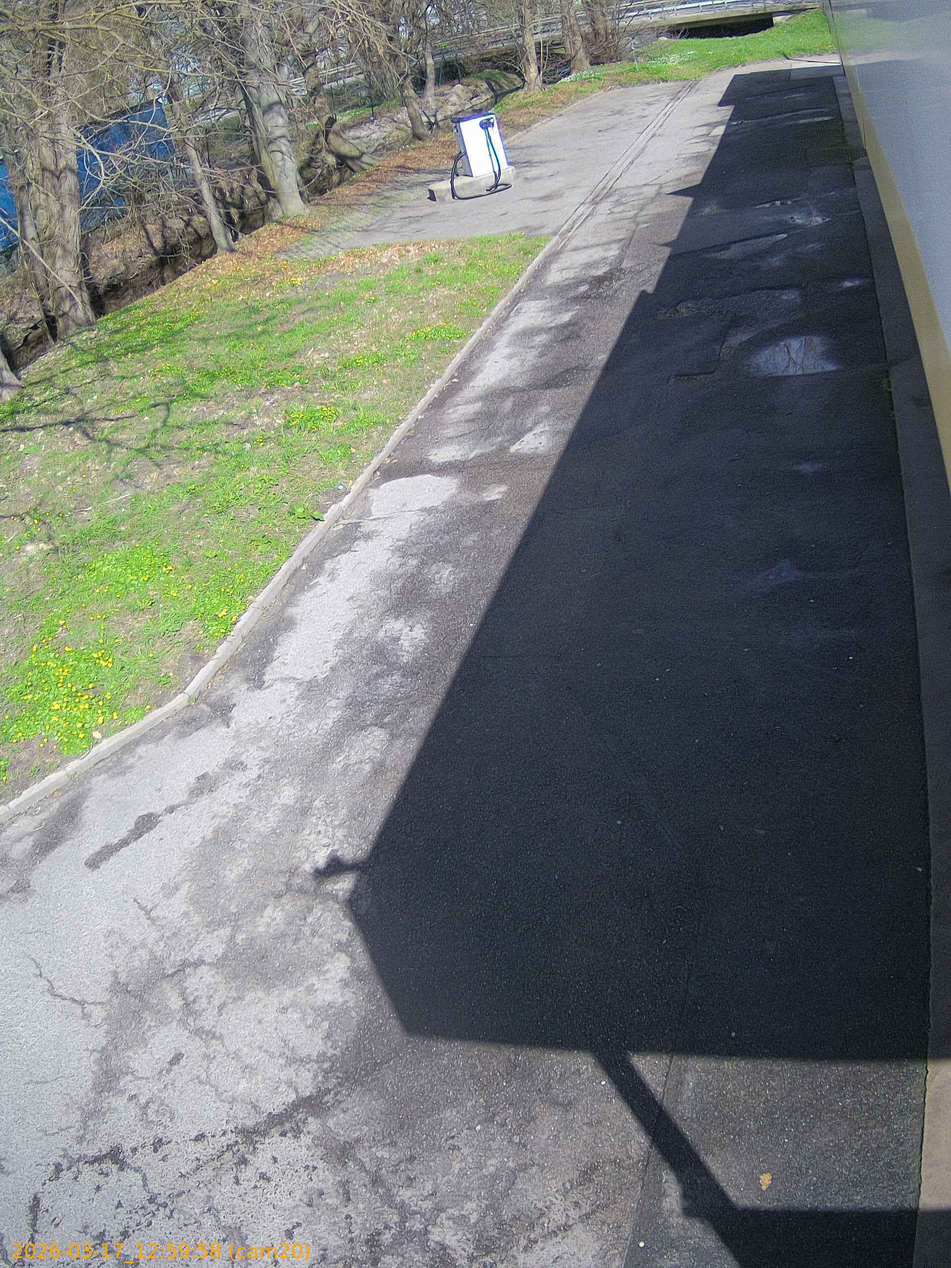 thumbnail_2026031712