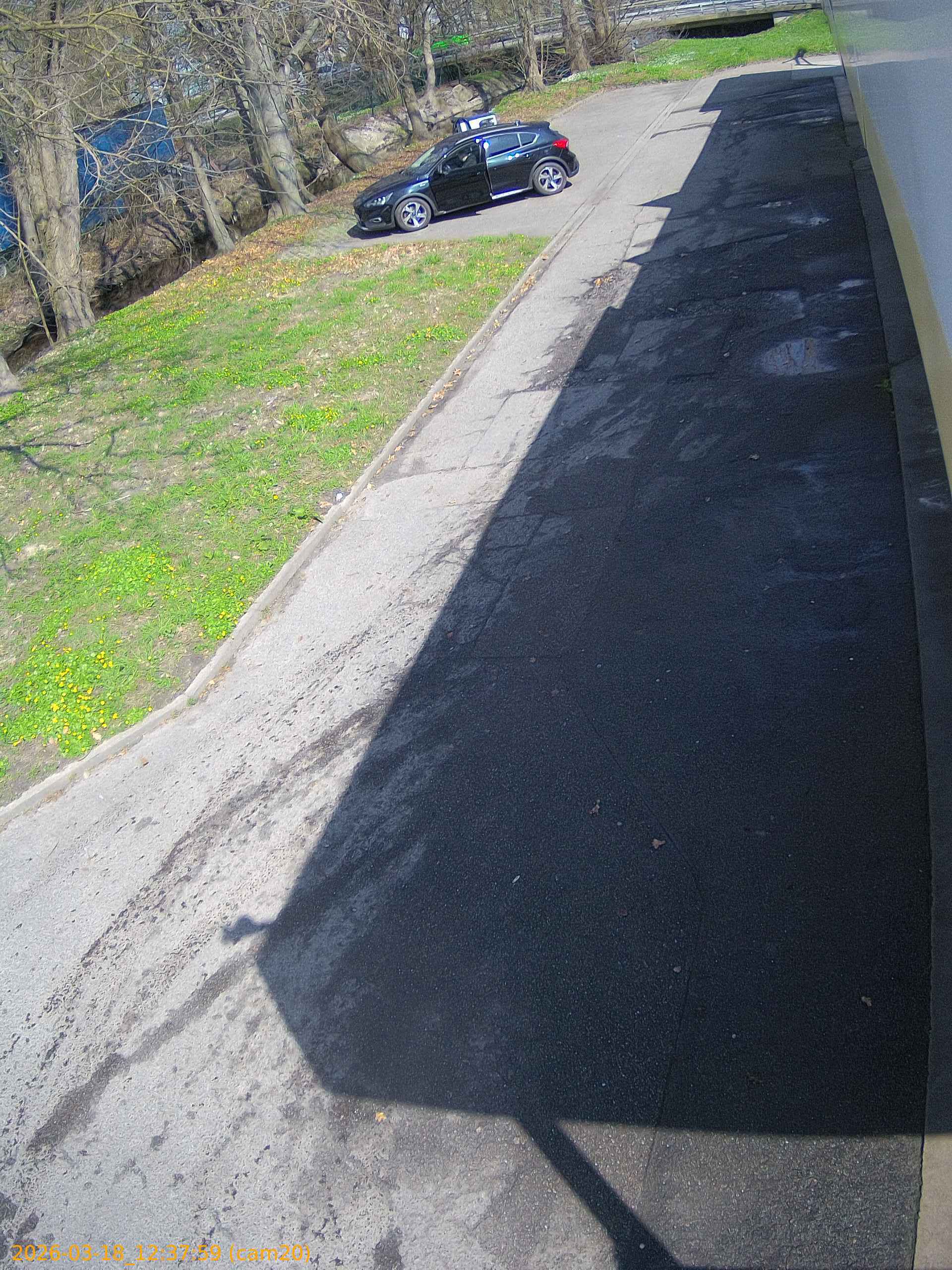 thumbnail_202603181237