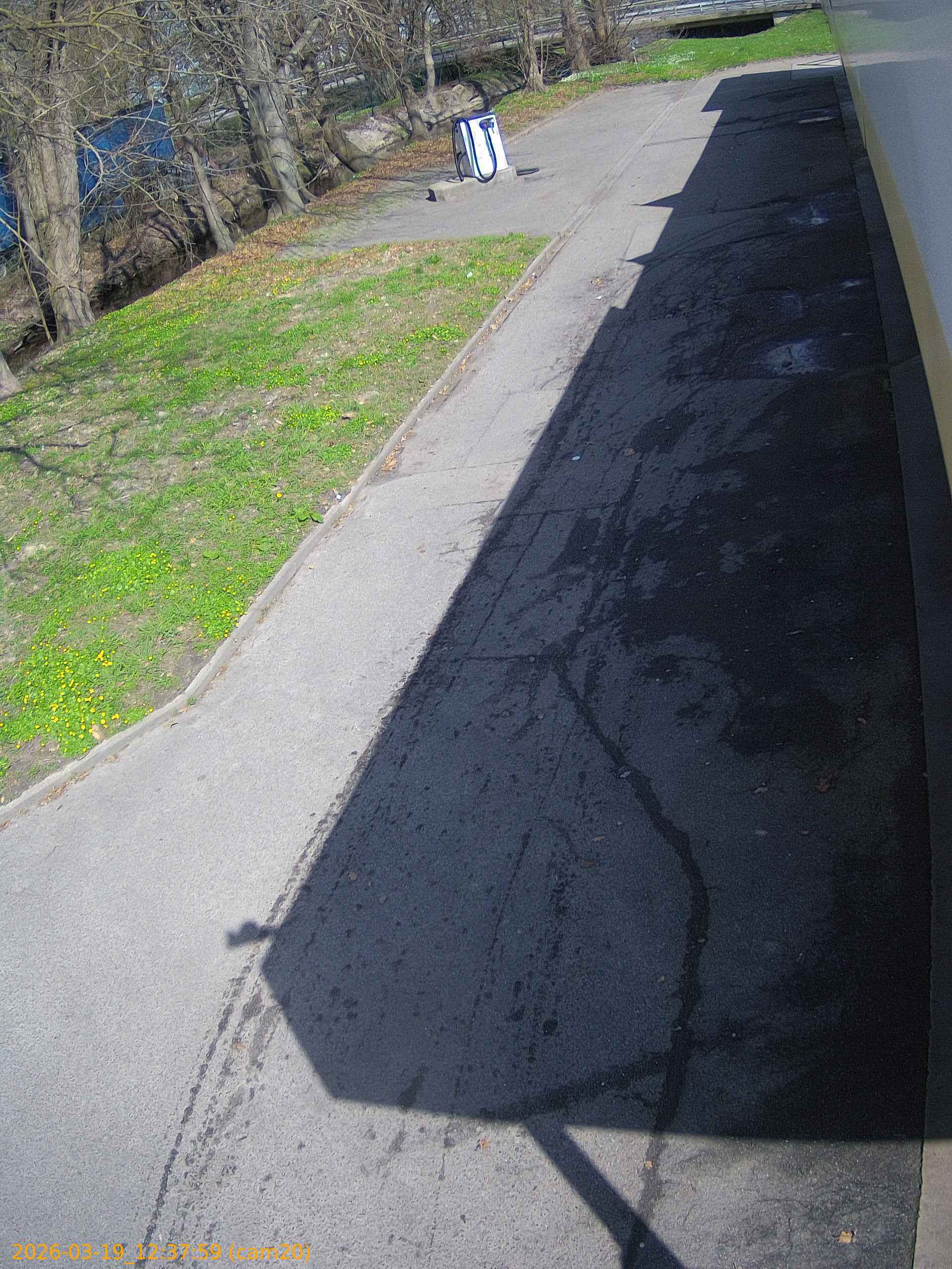 thumbnail_202603191237