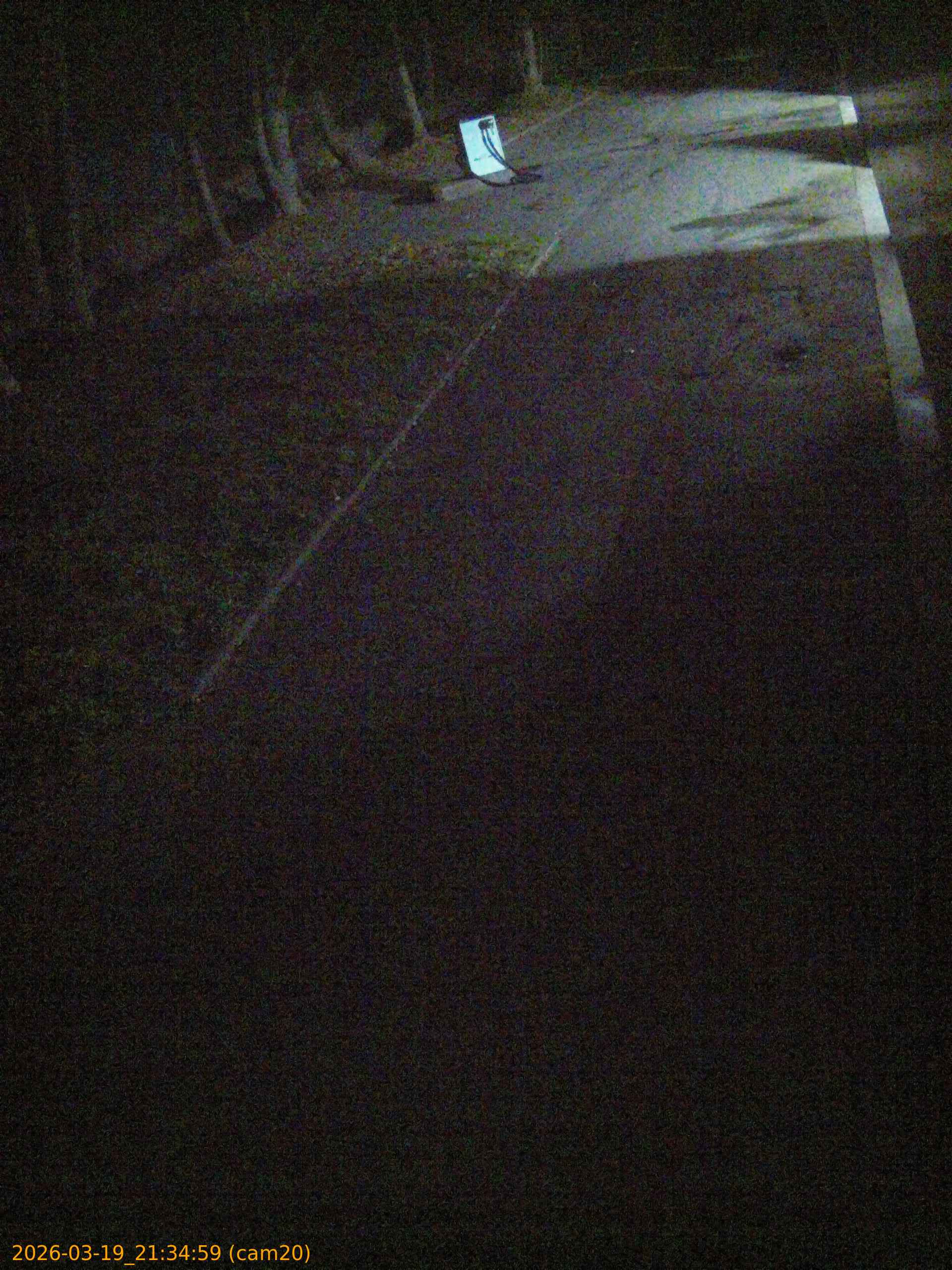 thumbnail_202603192134