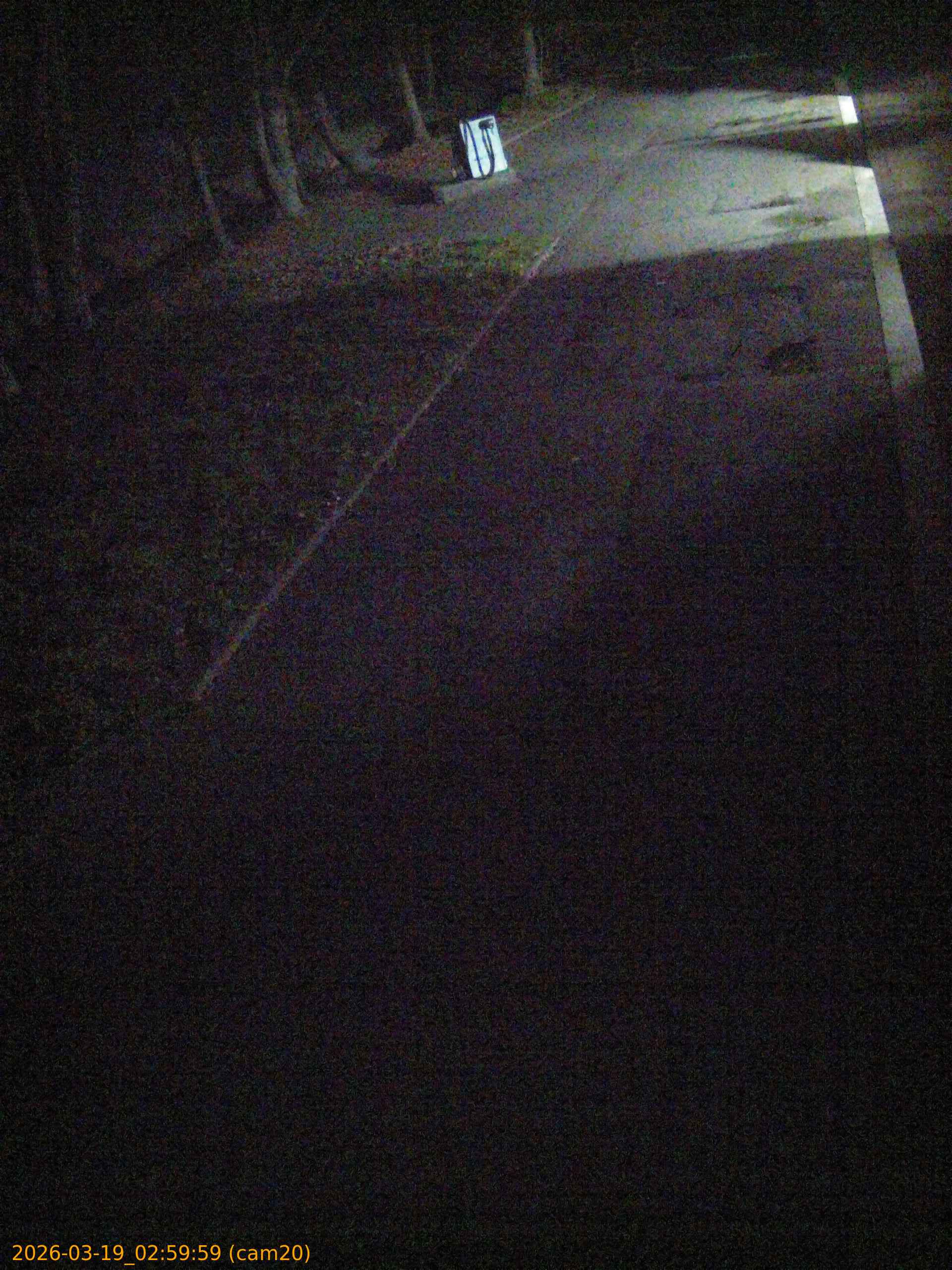 thumbnail_2026031902