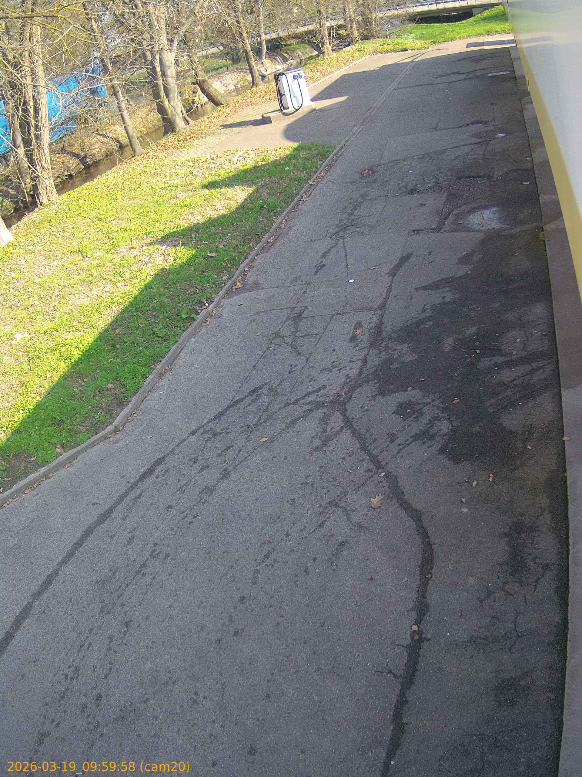 thumbnail_2026031909