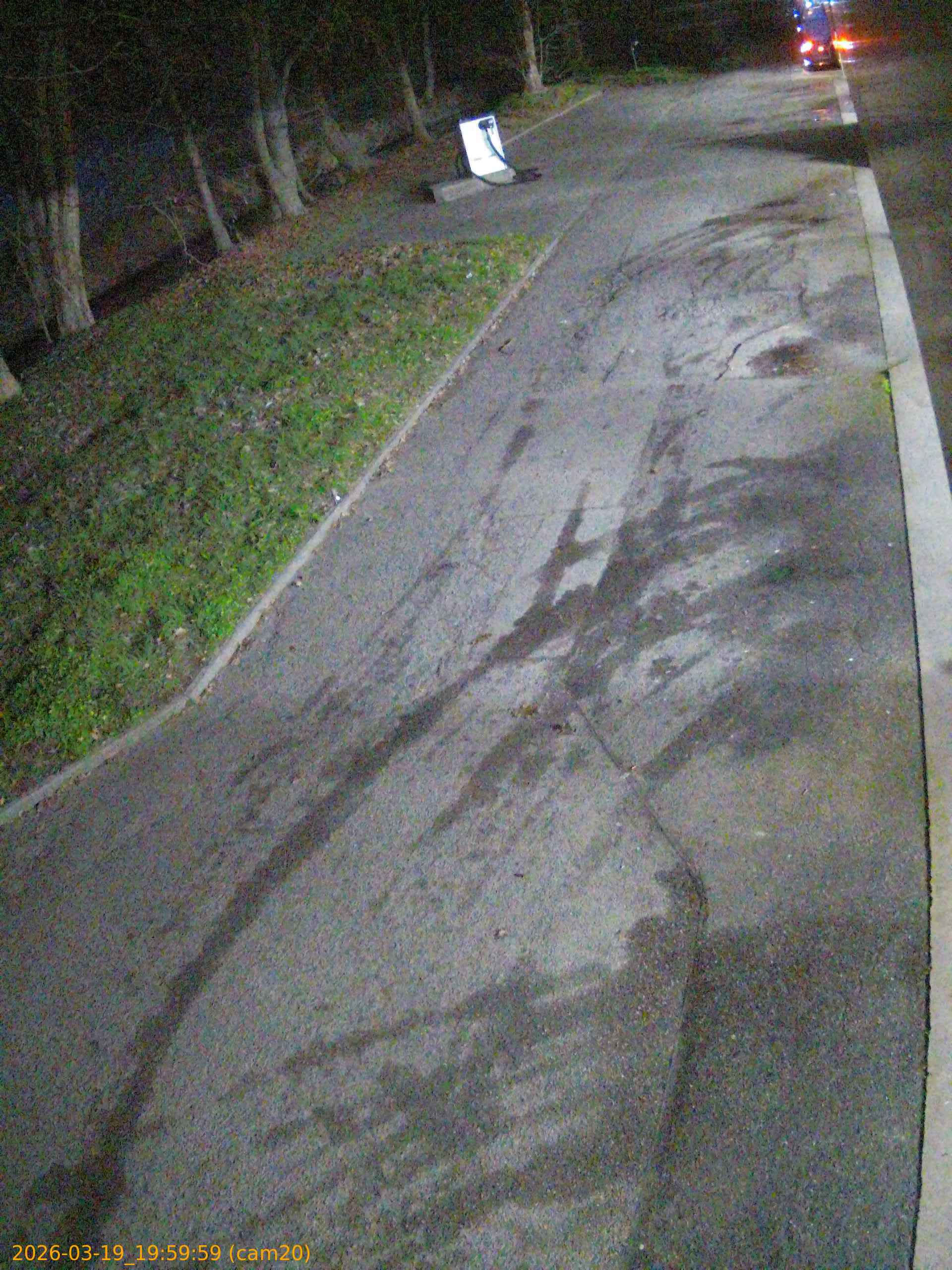 thumbnail_2026031919