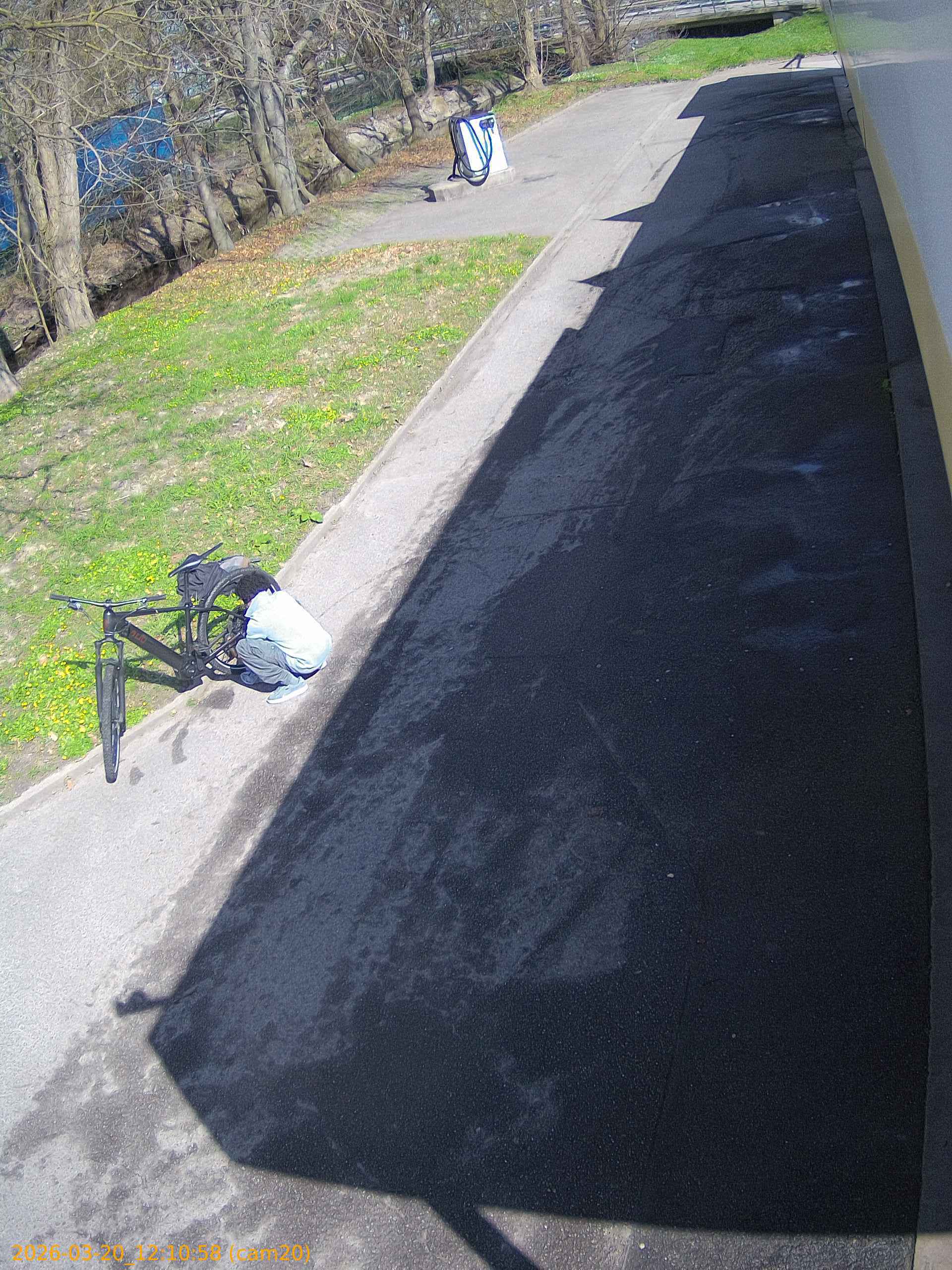 thumbnail_202603201210