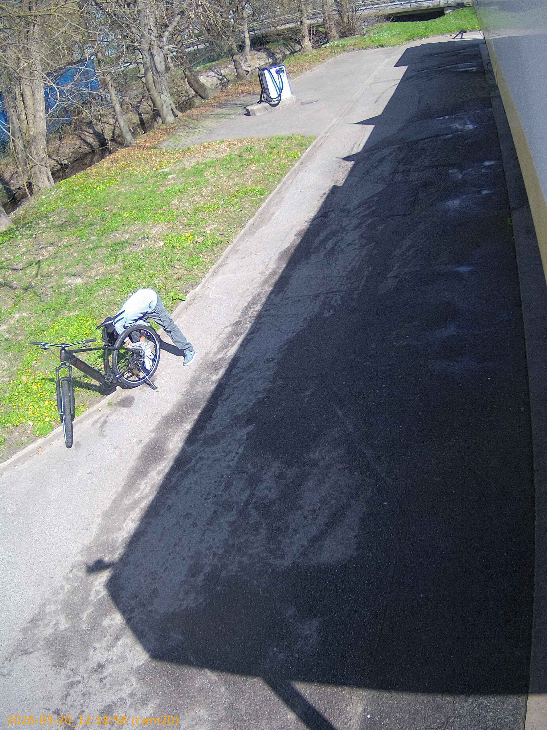 thumbnail_202603201218