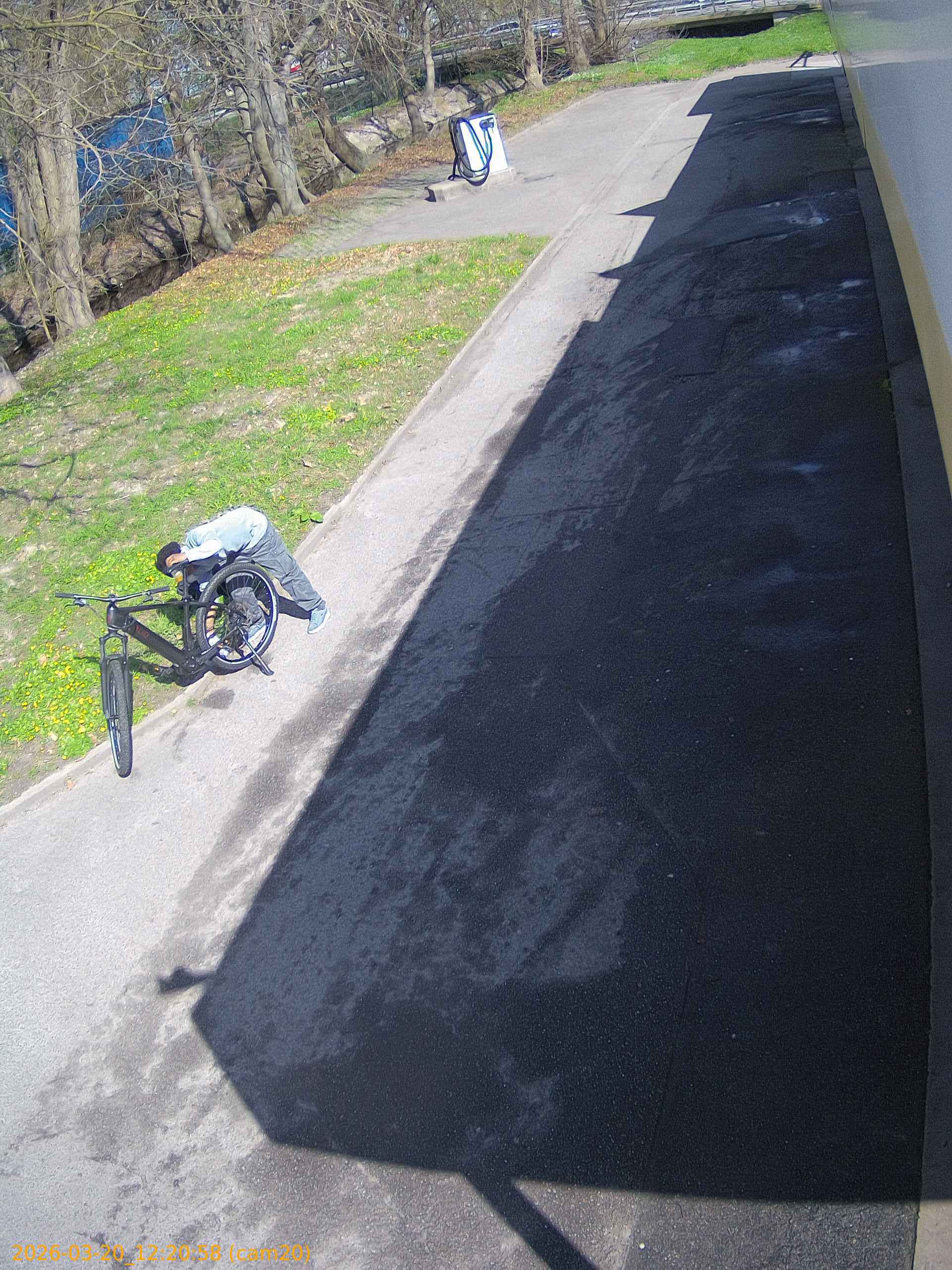 thumbnail_202603201220