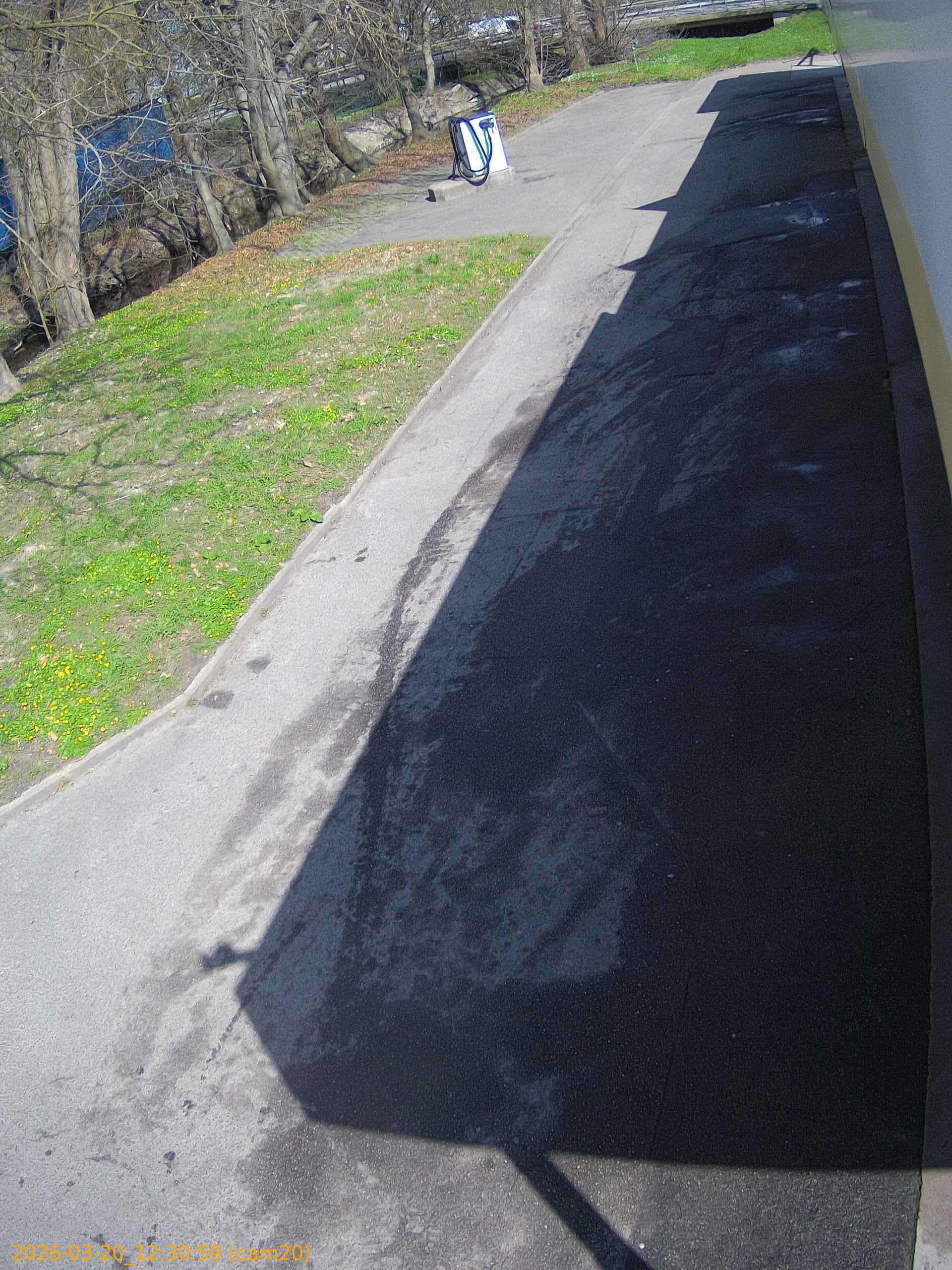 thumbnail_202603201230