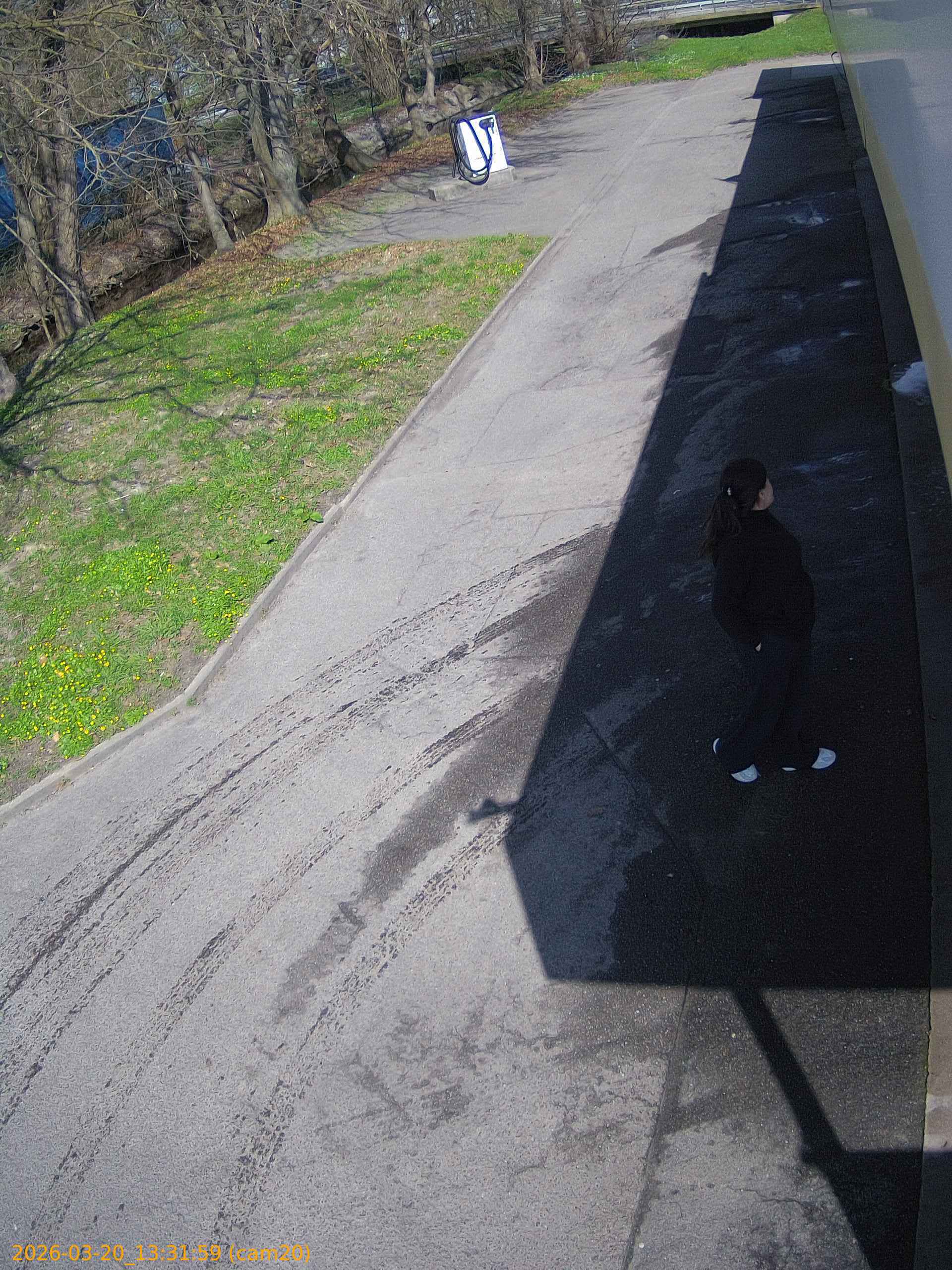 thumbnail_202603201331