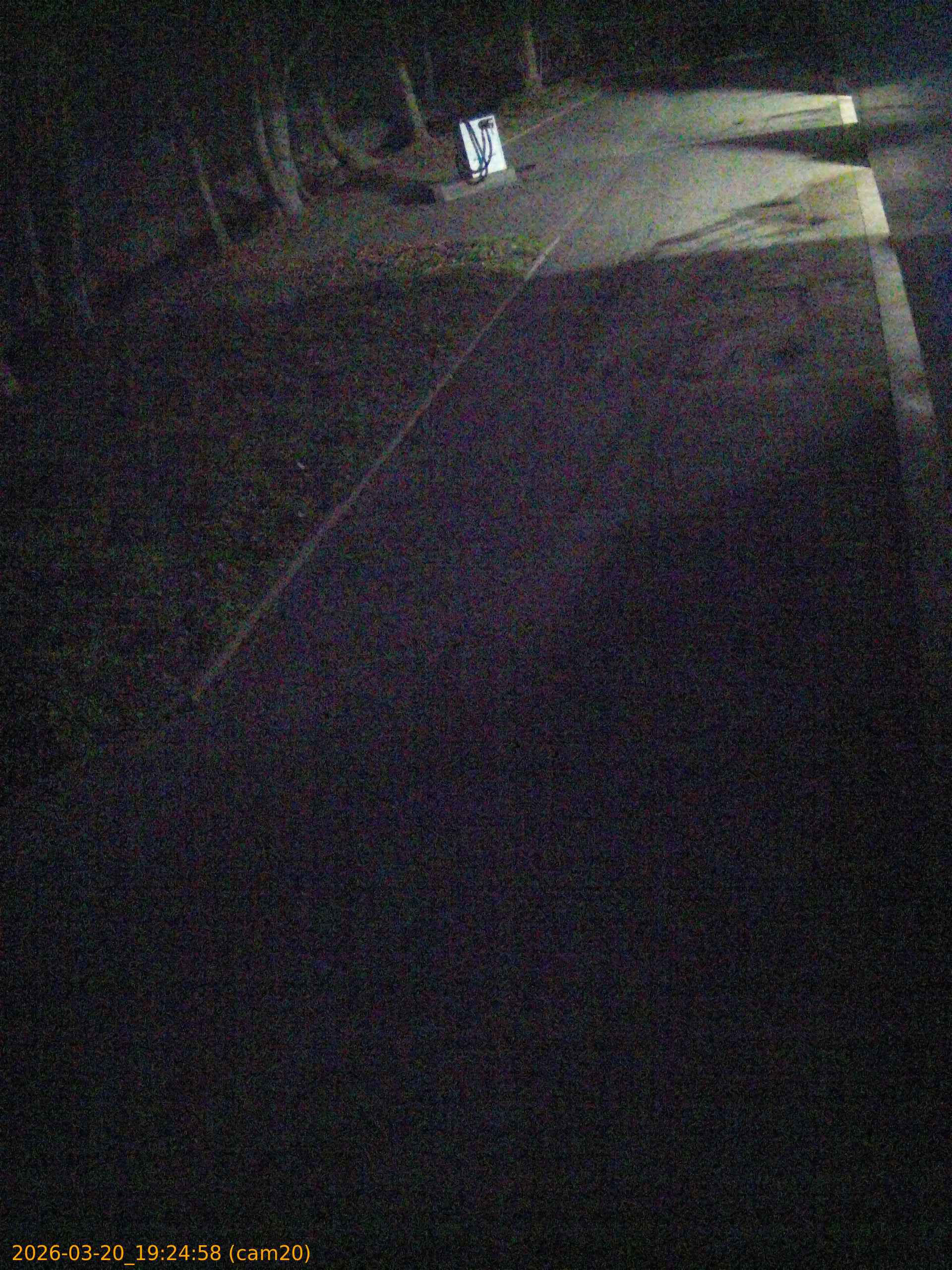 thumbnail_202603201924